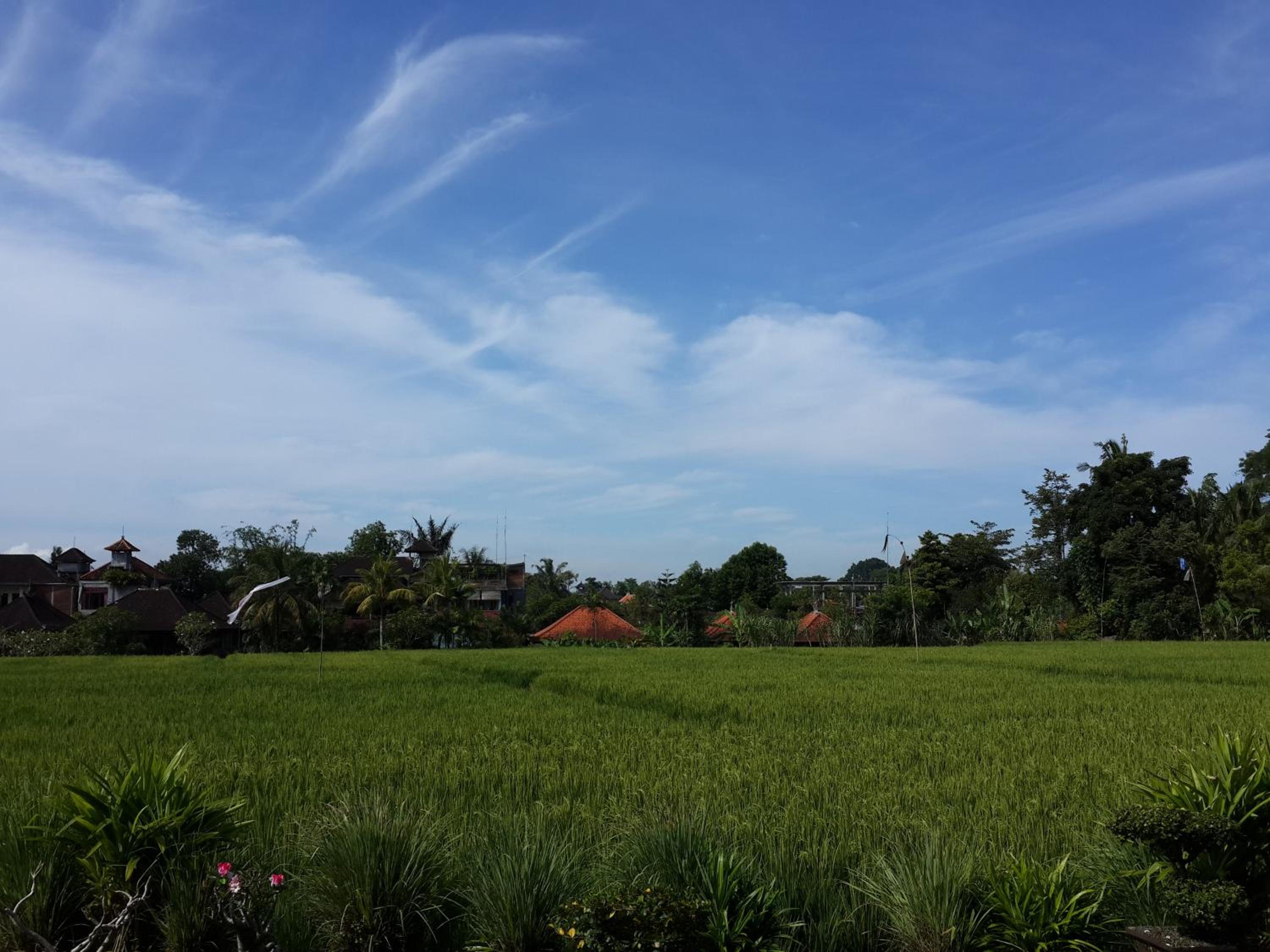 Kun - Kun Guest House Ubud