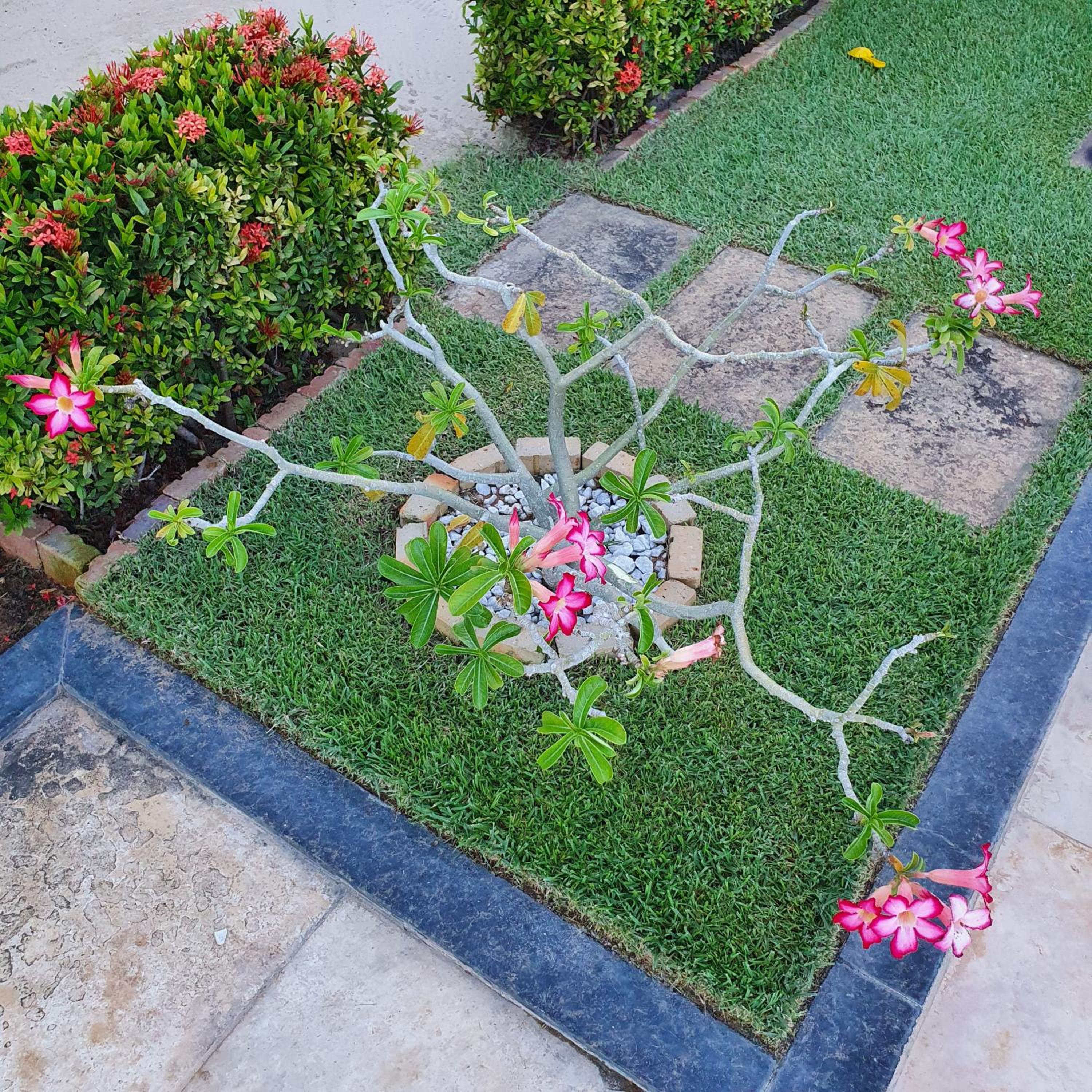 Casa na Praia de Águas Belas - Caponga