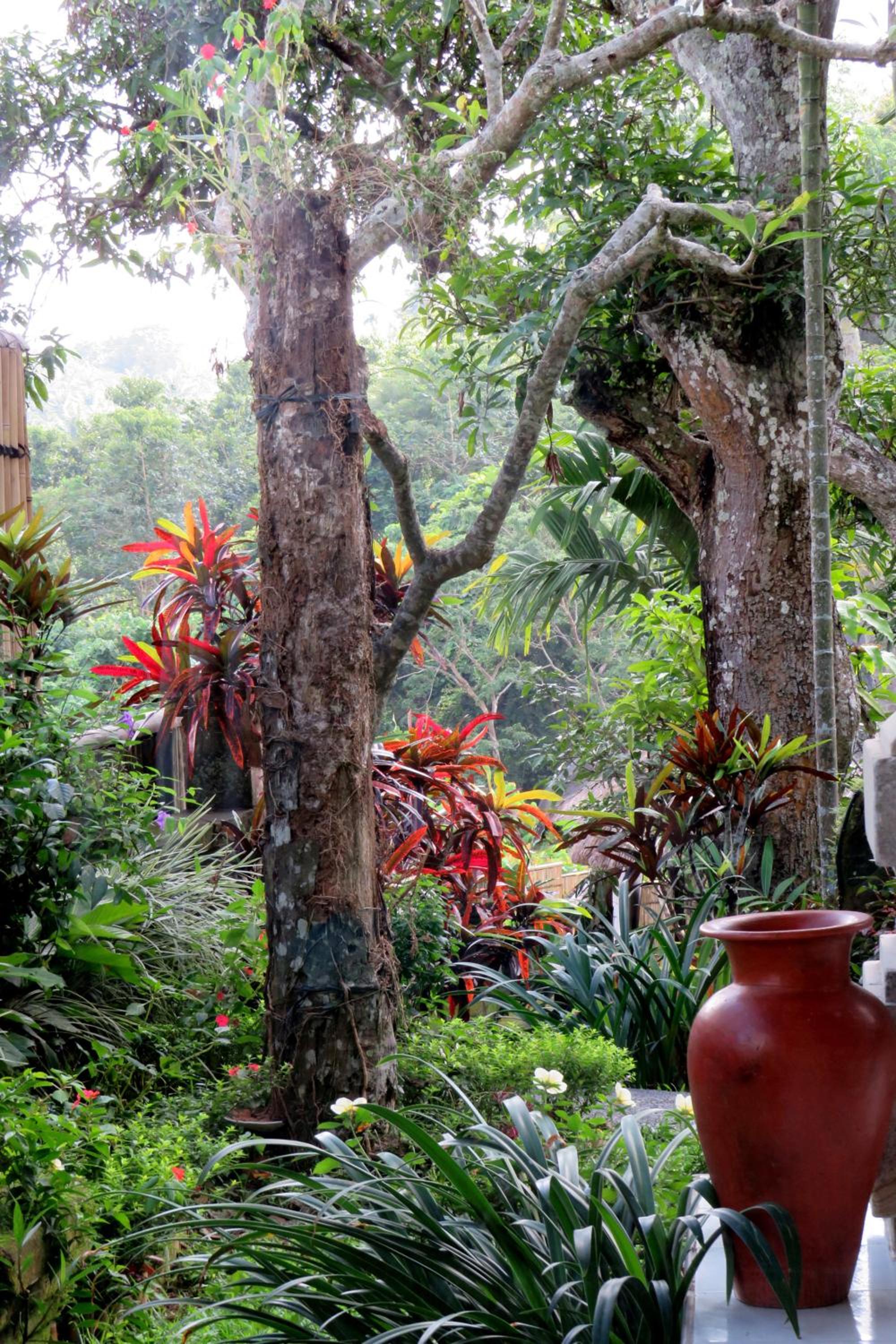 Alam Indah Ubud