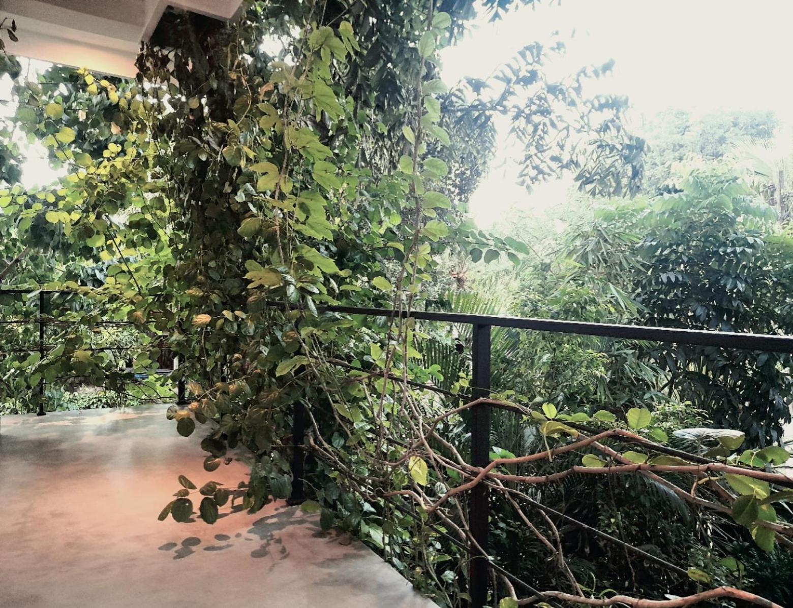 balcony