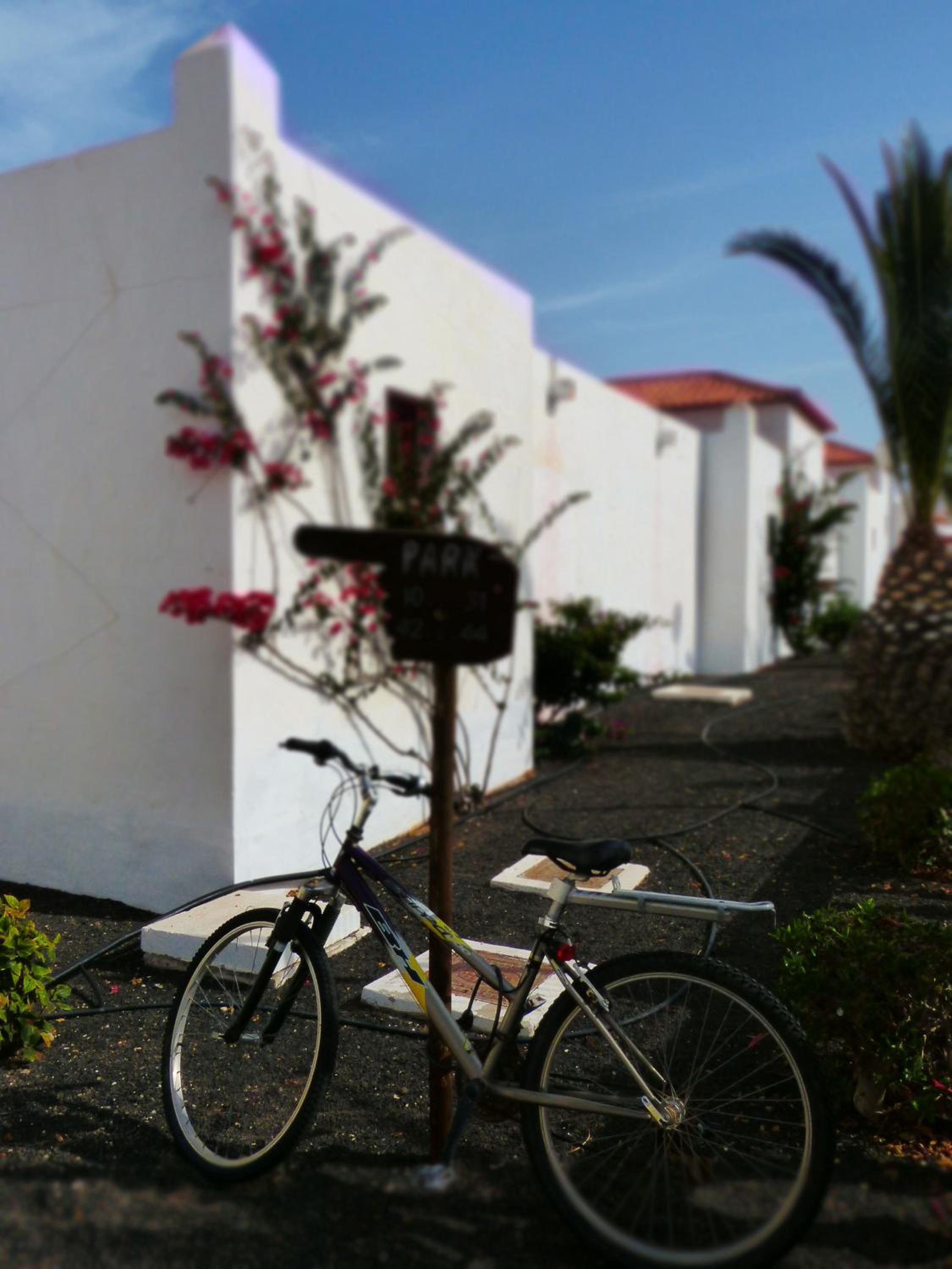 Photo 48