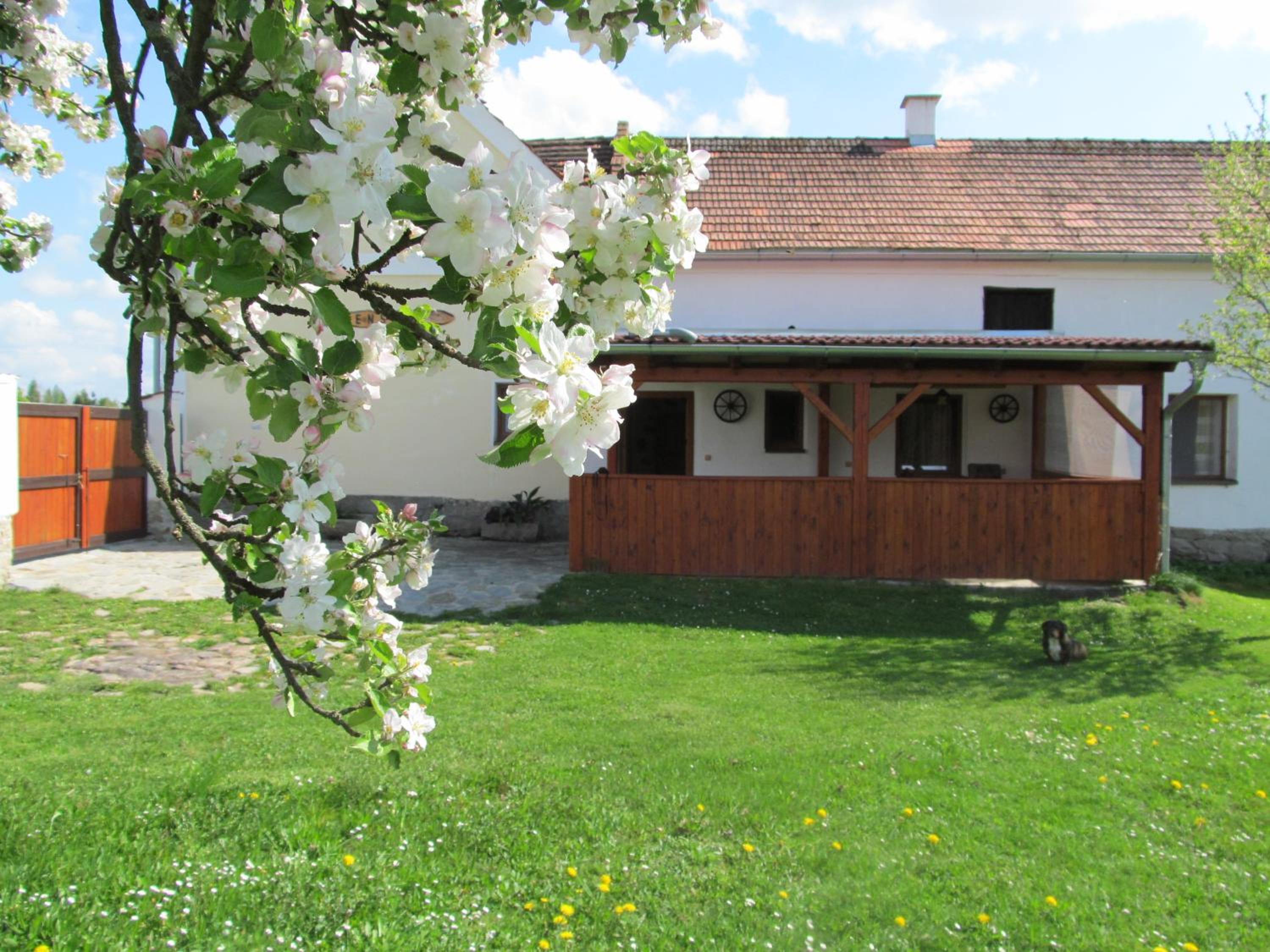Photo 44