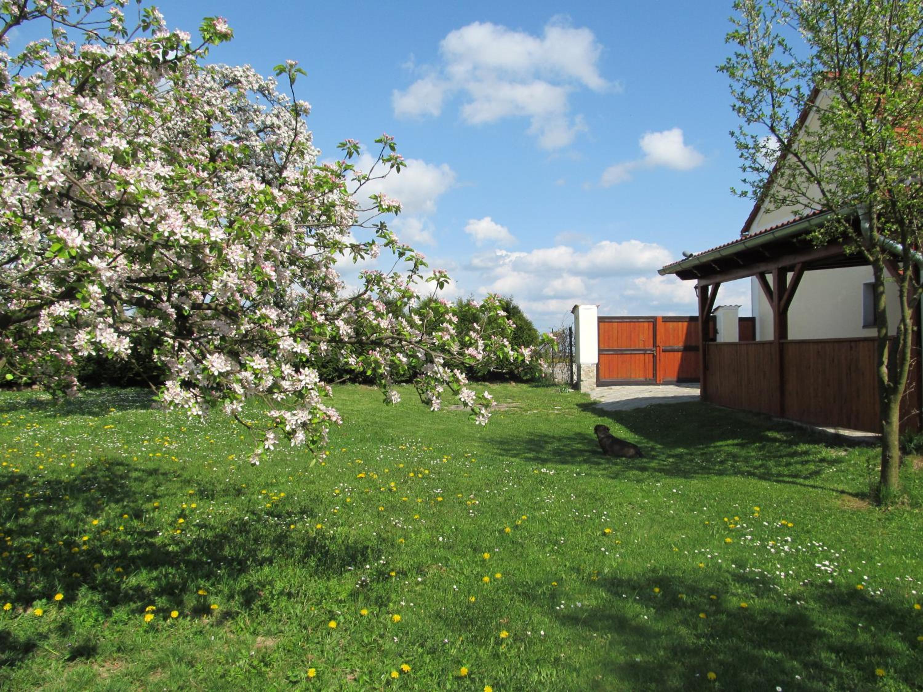 Photo 40