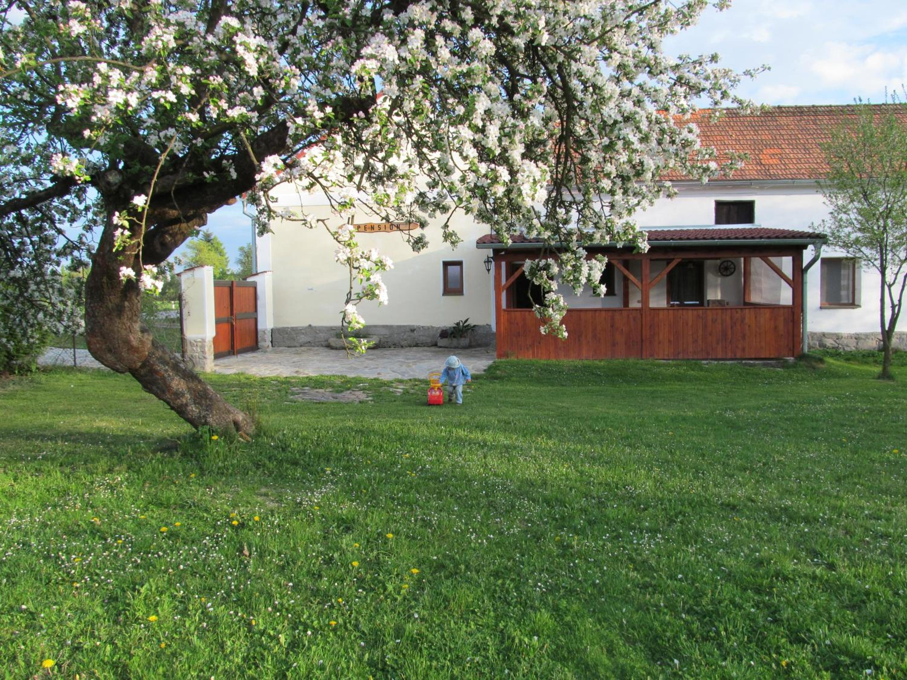 Photo 36