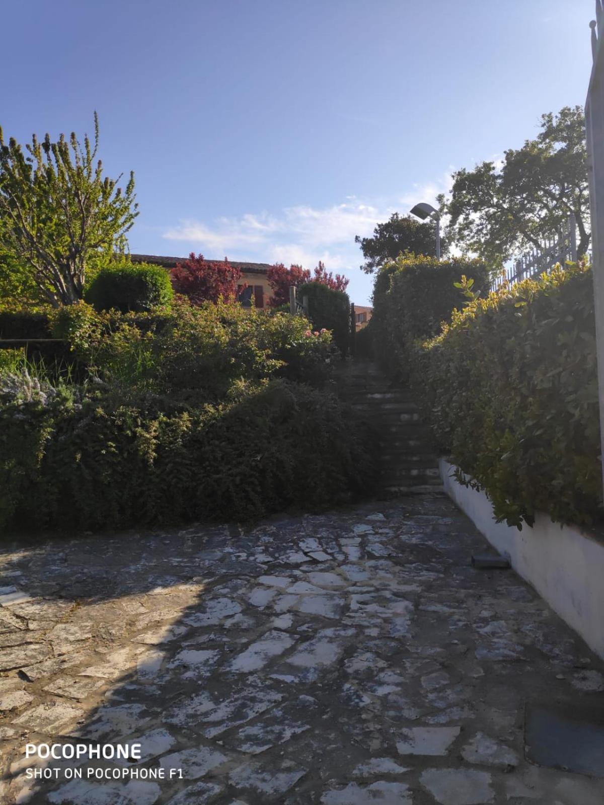 IMMERSA NEL VERDE en Osimo