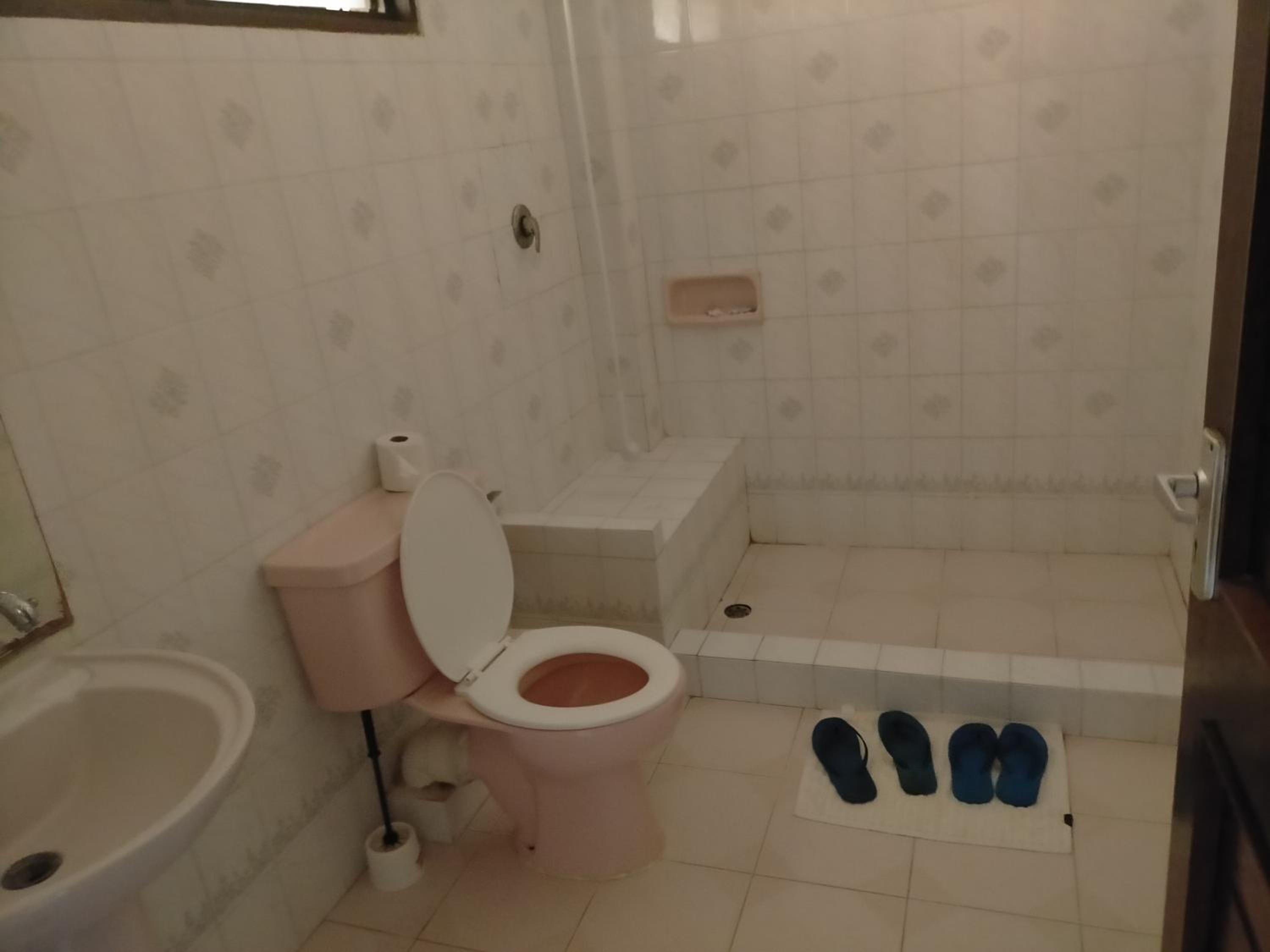Photo 51