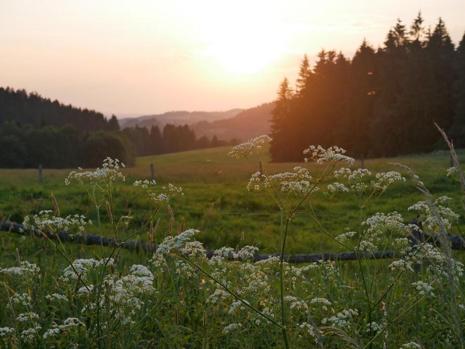 Chalupa Pasečná