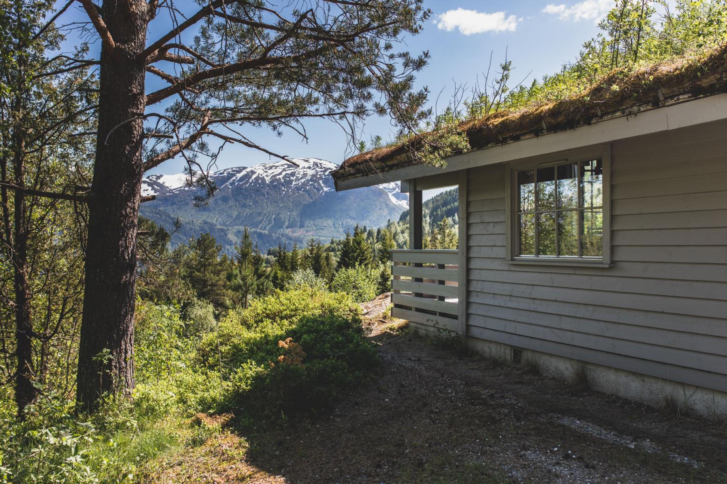 Jølsterlia Hyttetun view 4