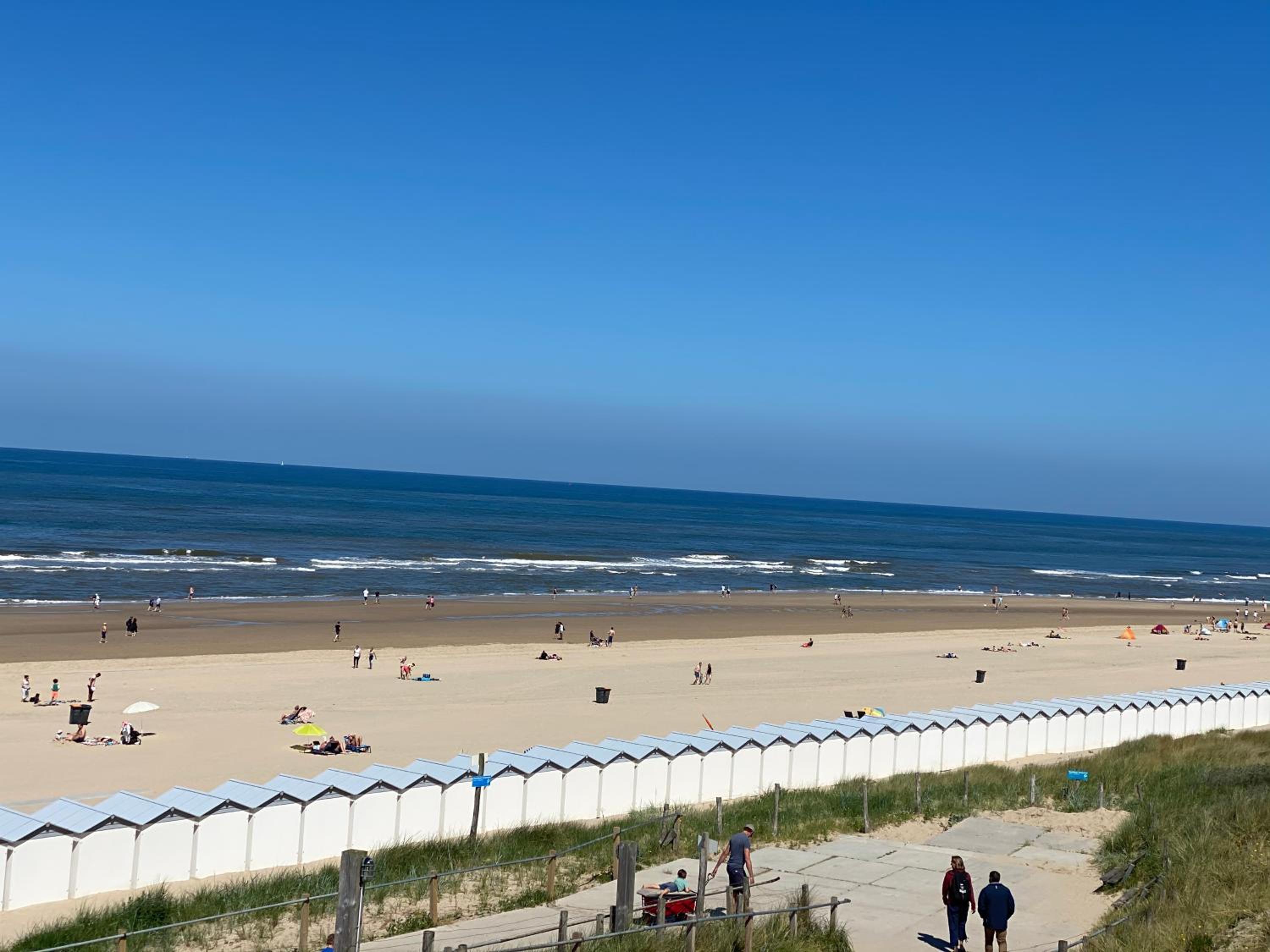 Cozy Tiny House Egmond aan Zee- 500m from Beach-North Sea view 3