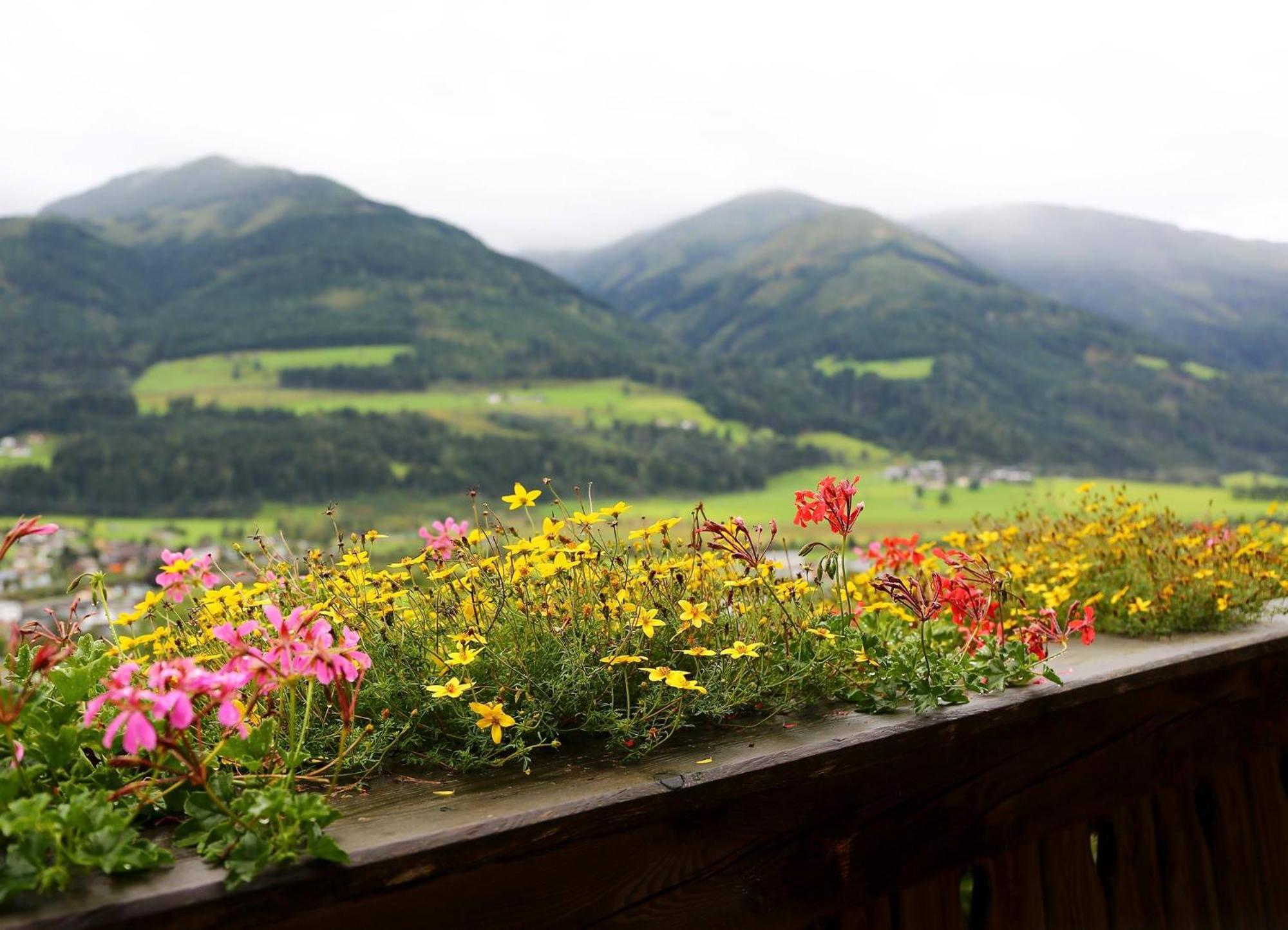 Panorama Ferienhaus Ematberg mit Bergblick und Sauna
