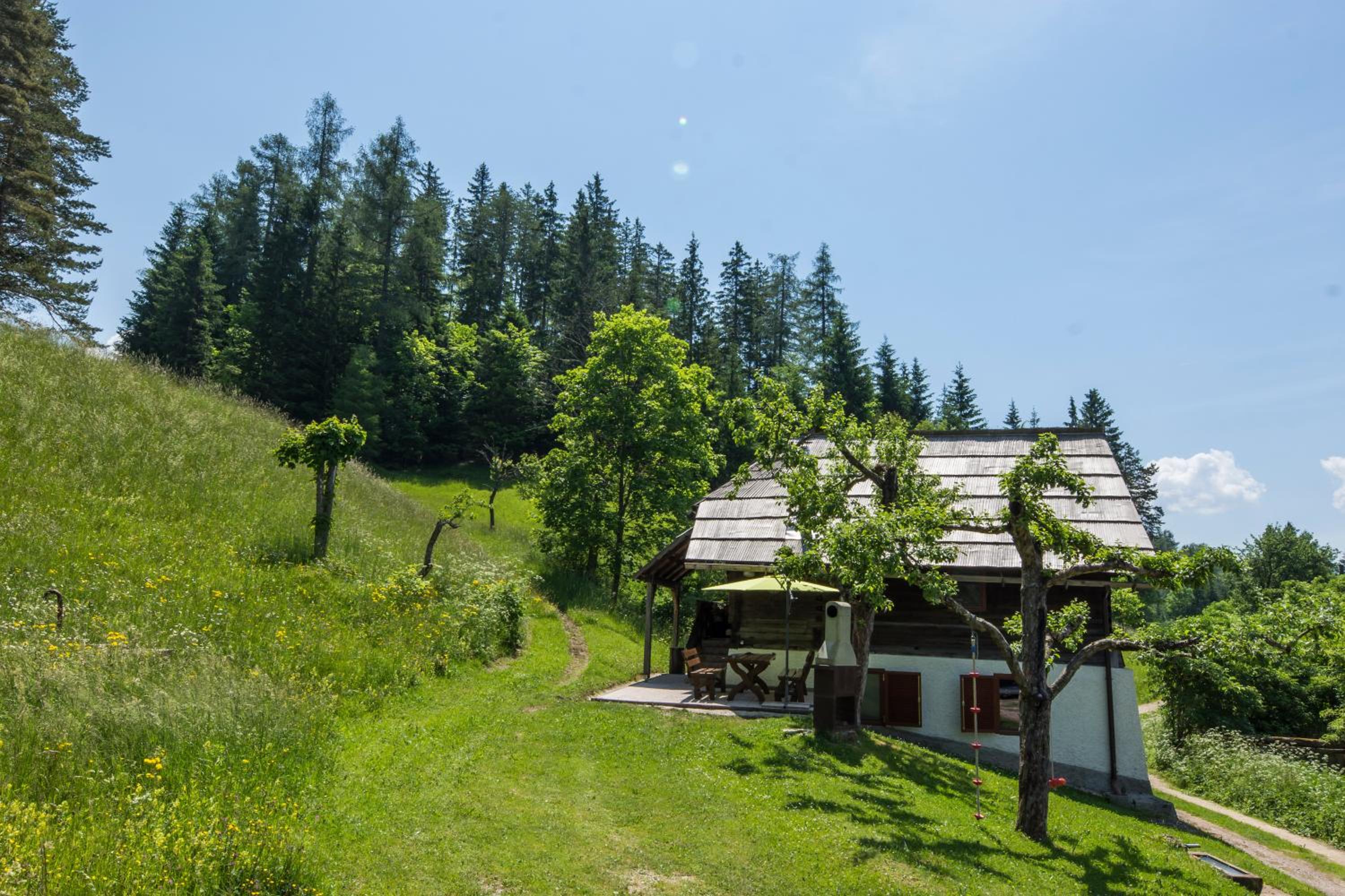 Hotel Natur pur Pikovo - Image 1