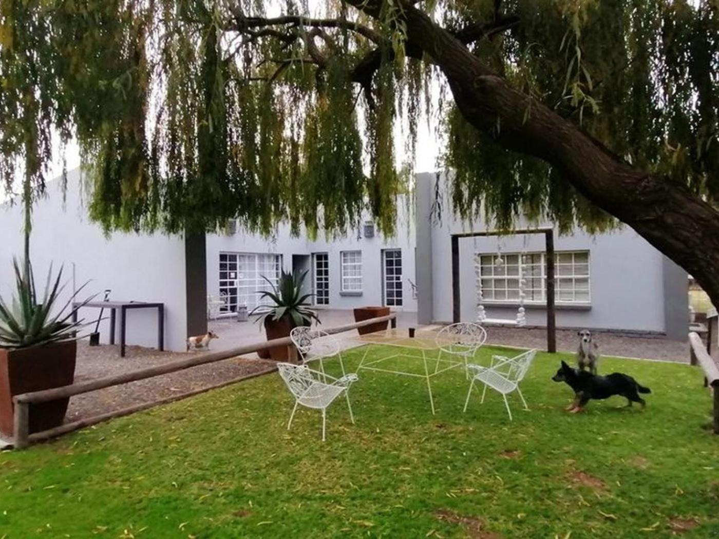 Wildebeespan Bed and Breakfast view 2
