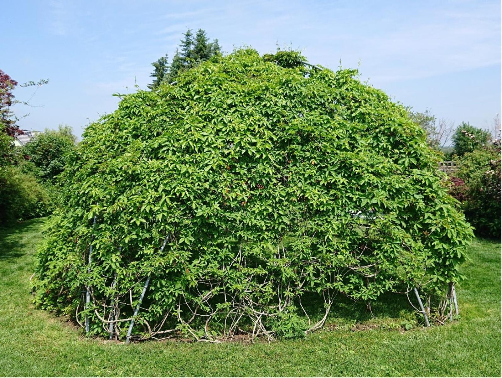Alte Käserei Kössern