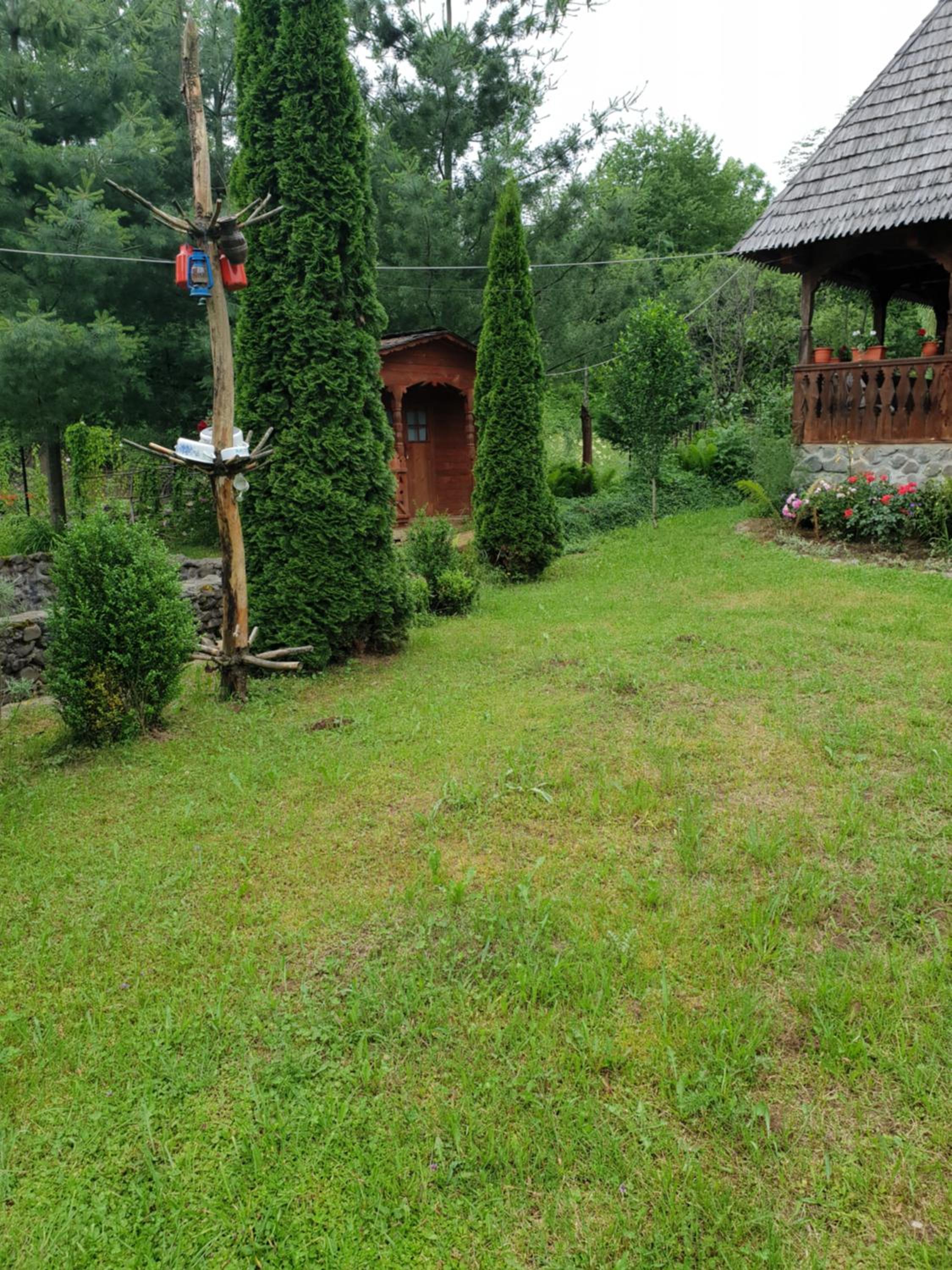 Photo 57