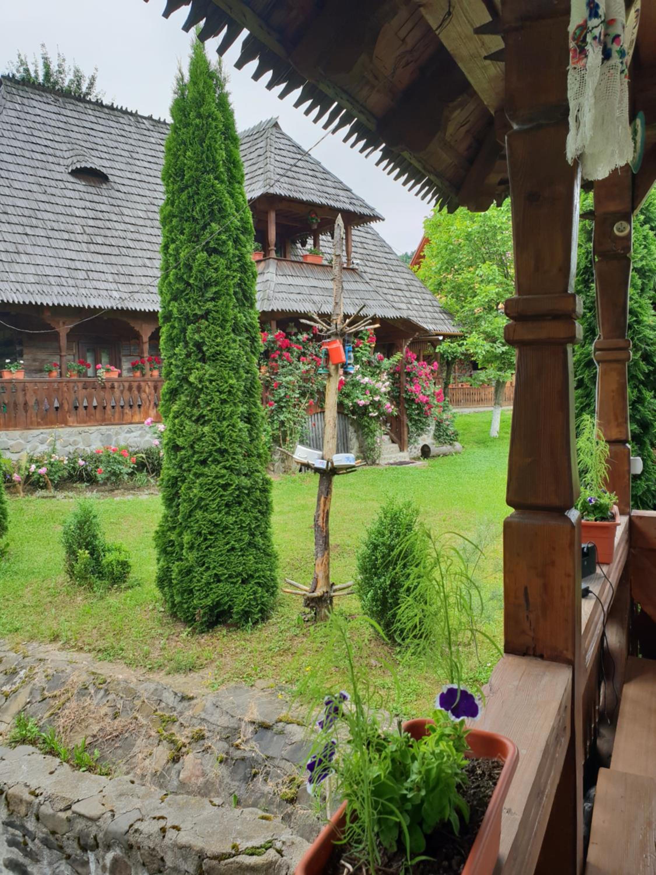 Photo 41