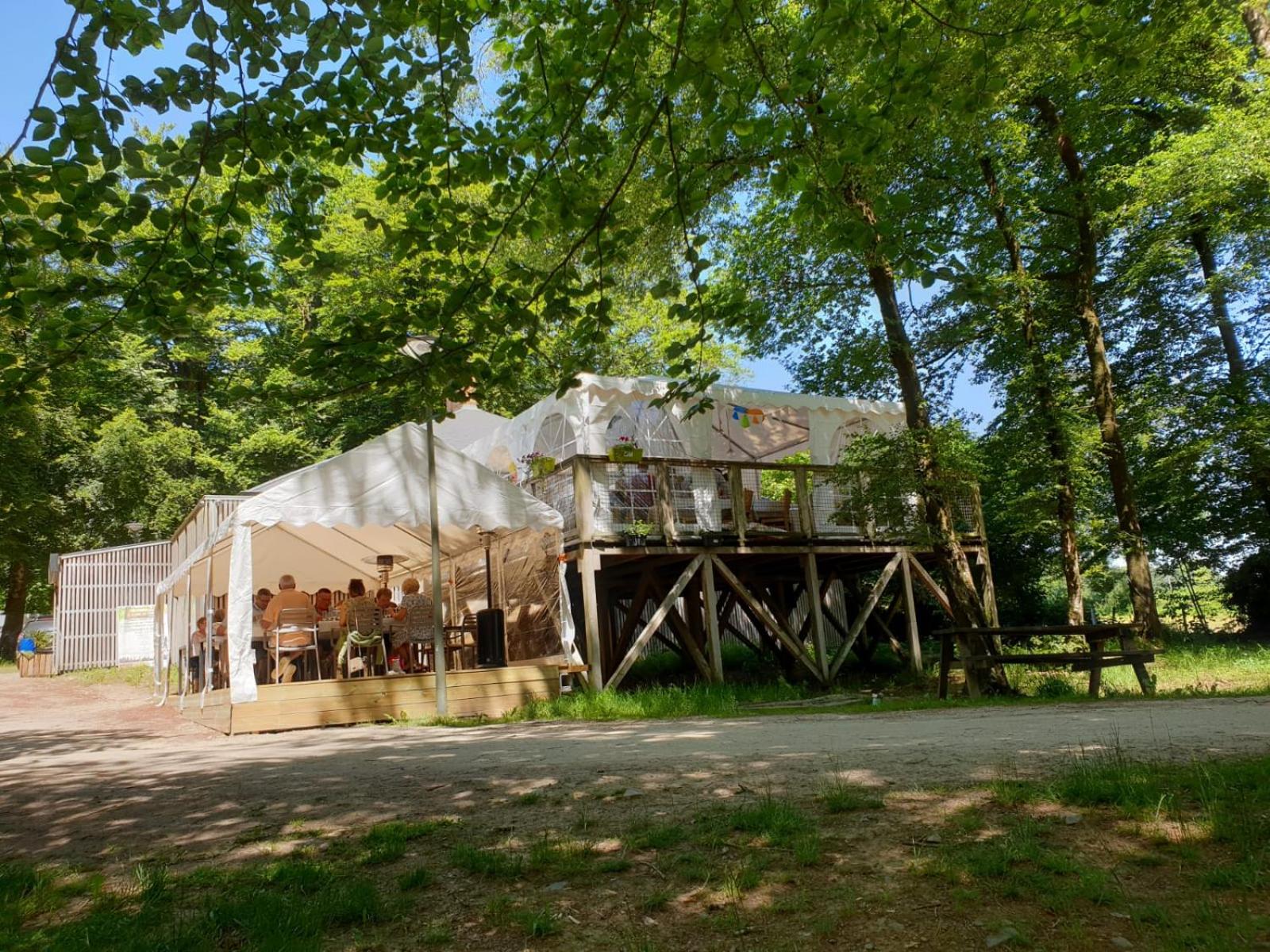 L'étape en forêt