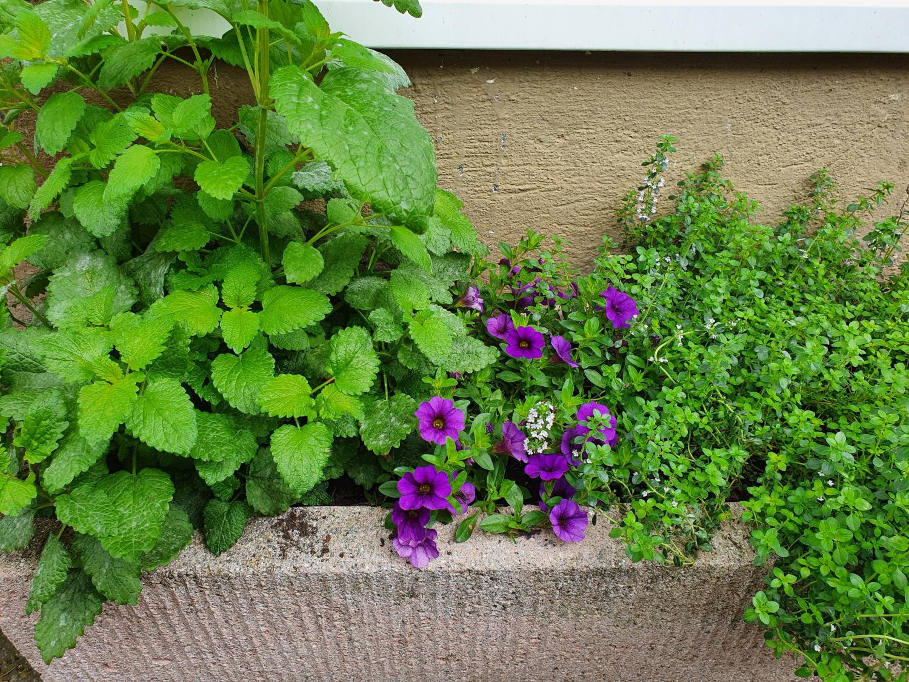 Photo 53