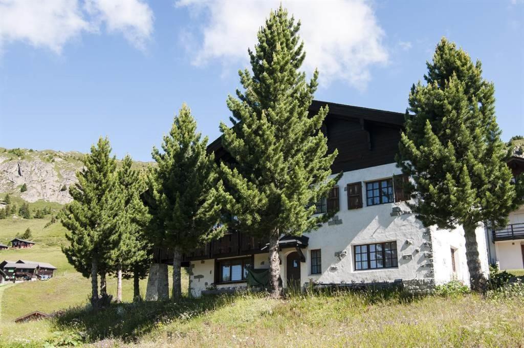 Schönegg Studio