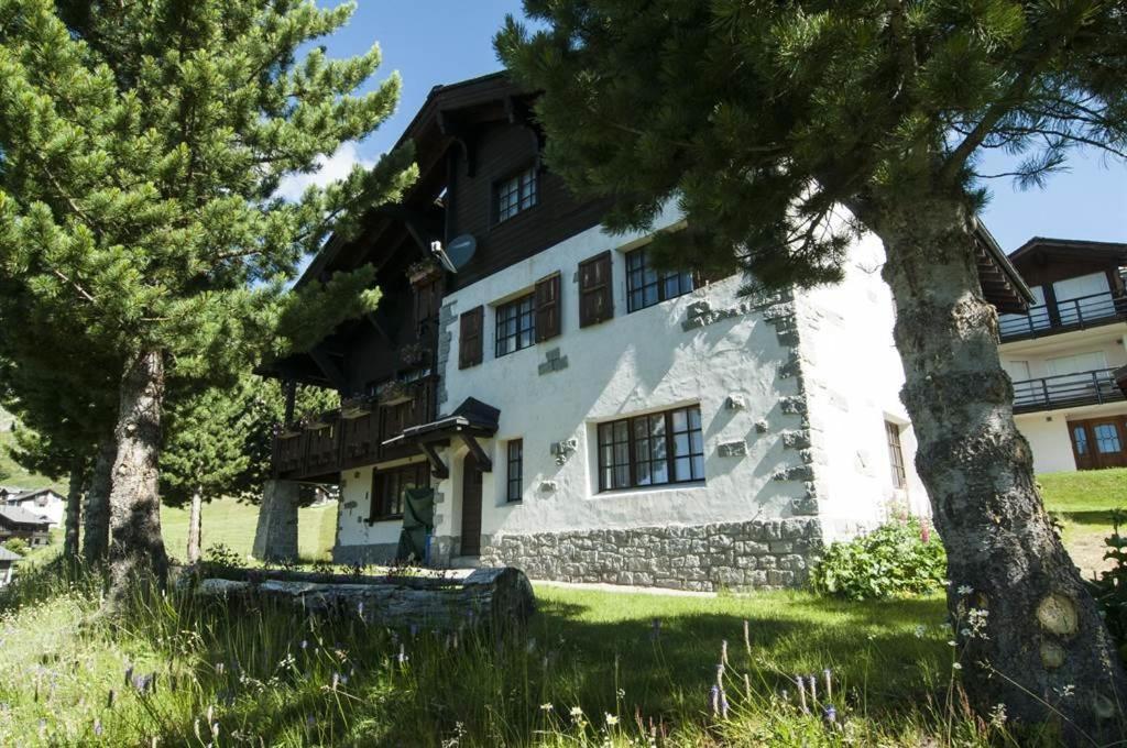 Schönegg Studio