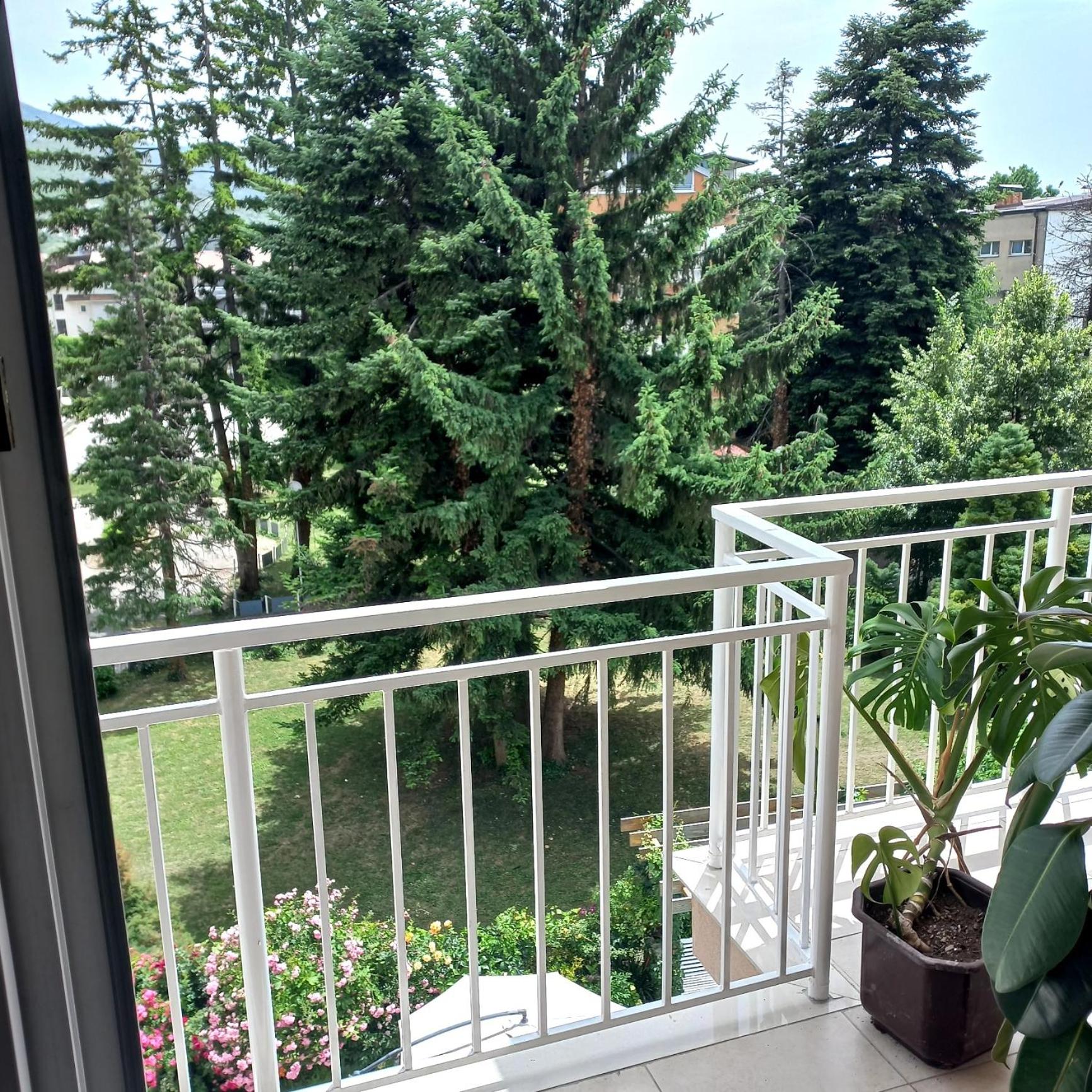Apartments Smakoski view 2