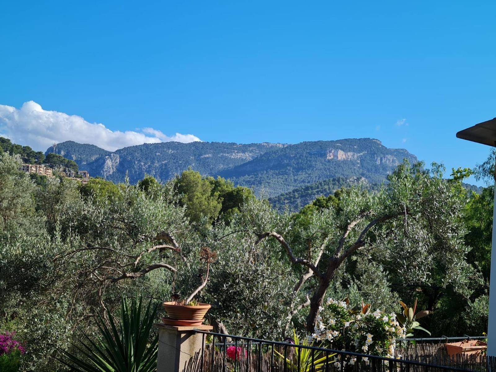 Casa Sunny view 2