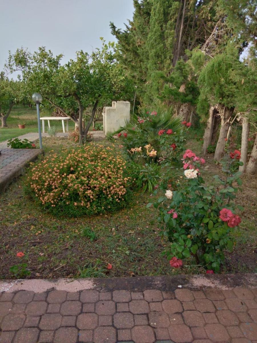 Photo 8