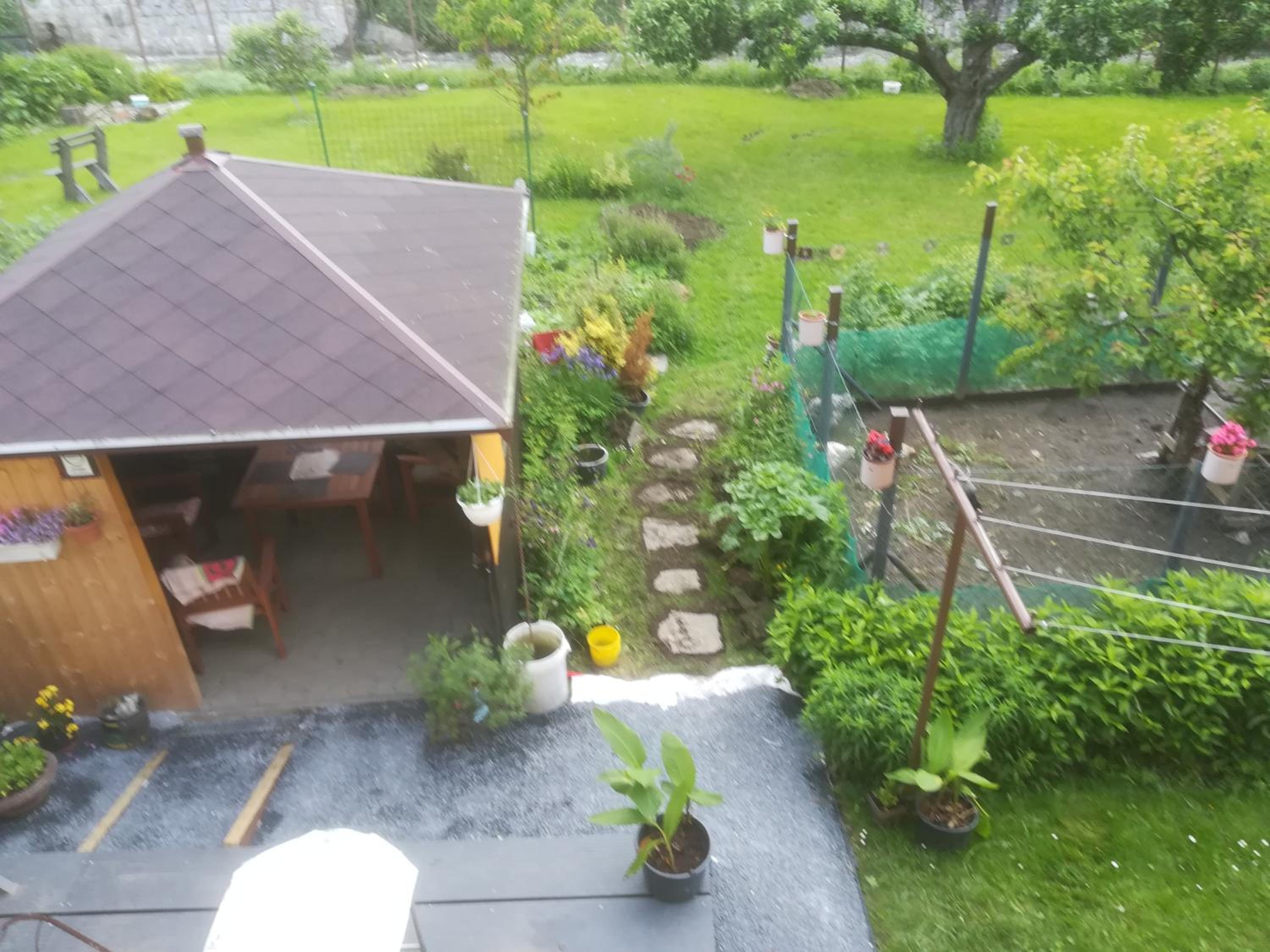 Photo 17