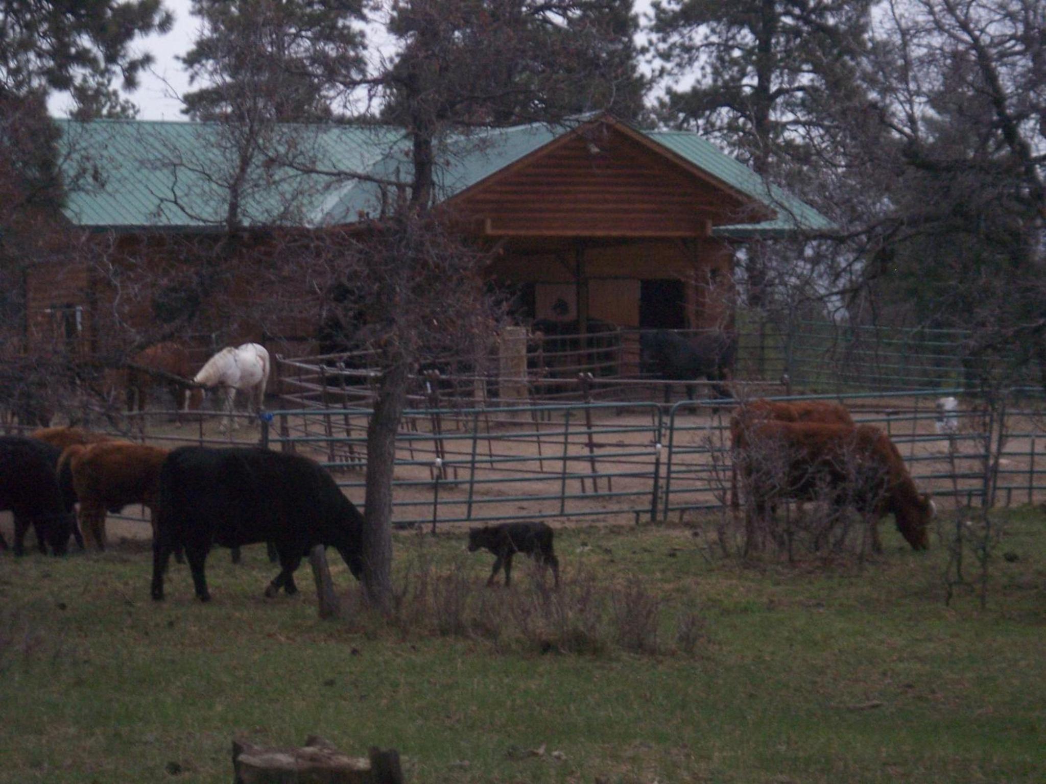 Elktrace Bed and Breakfast