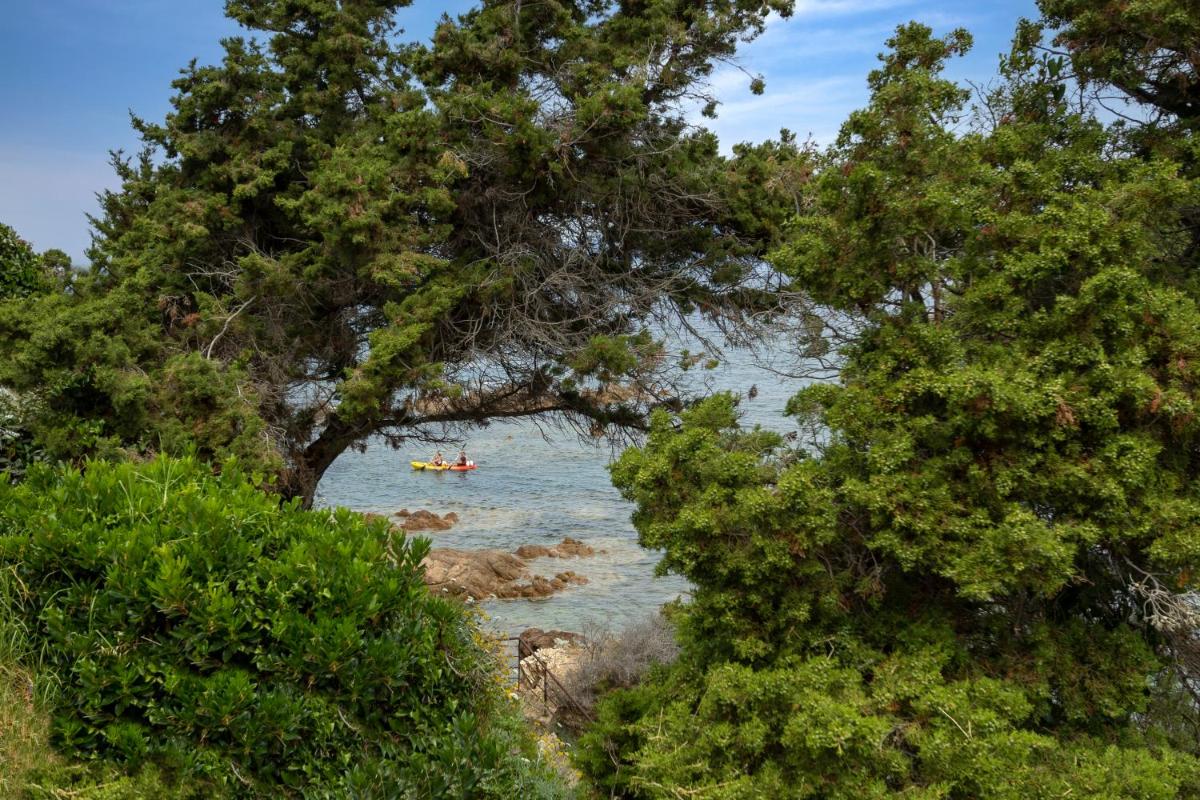 Photo 45