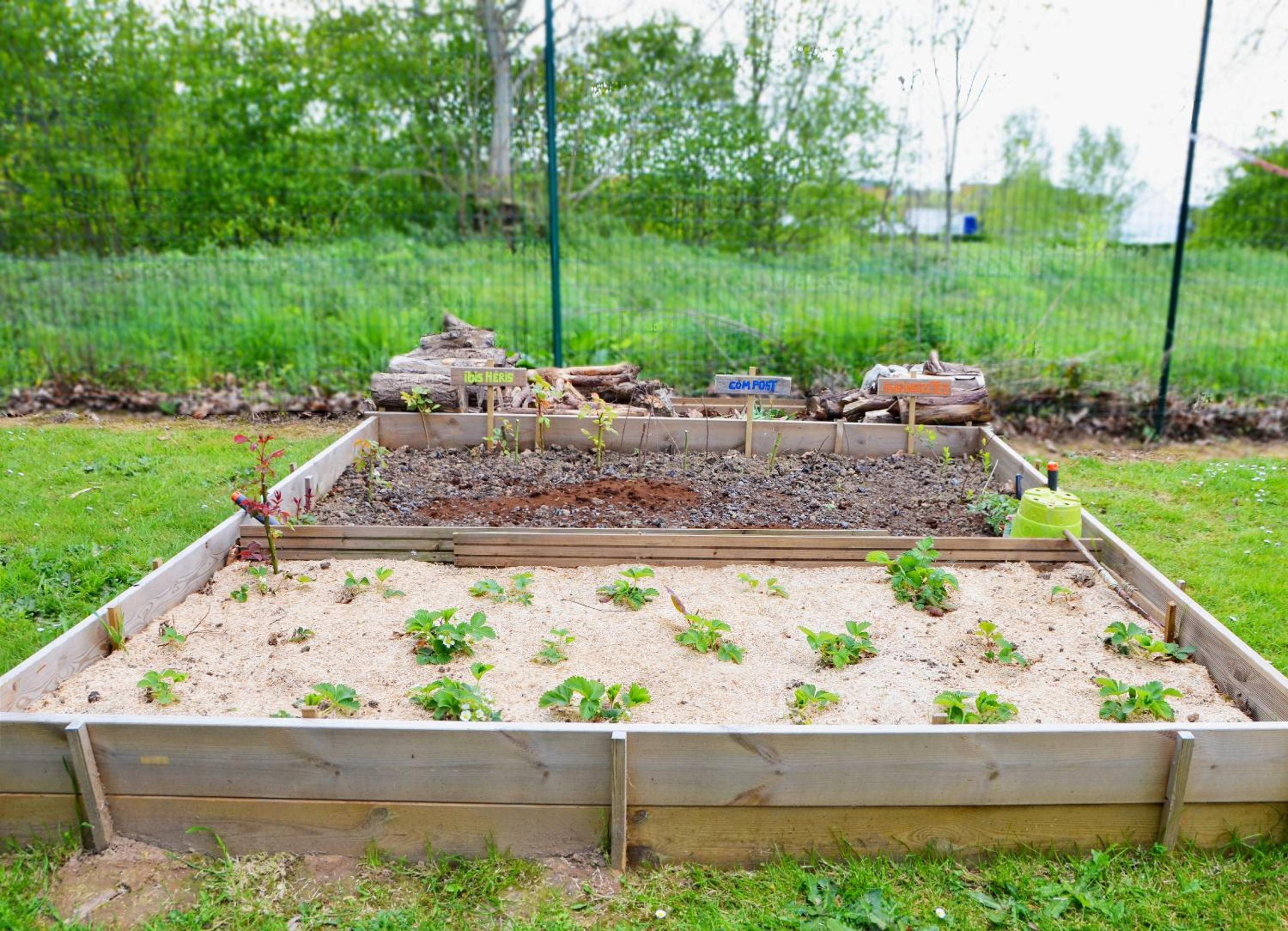 garden