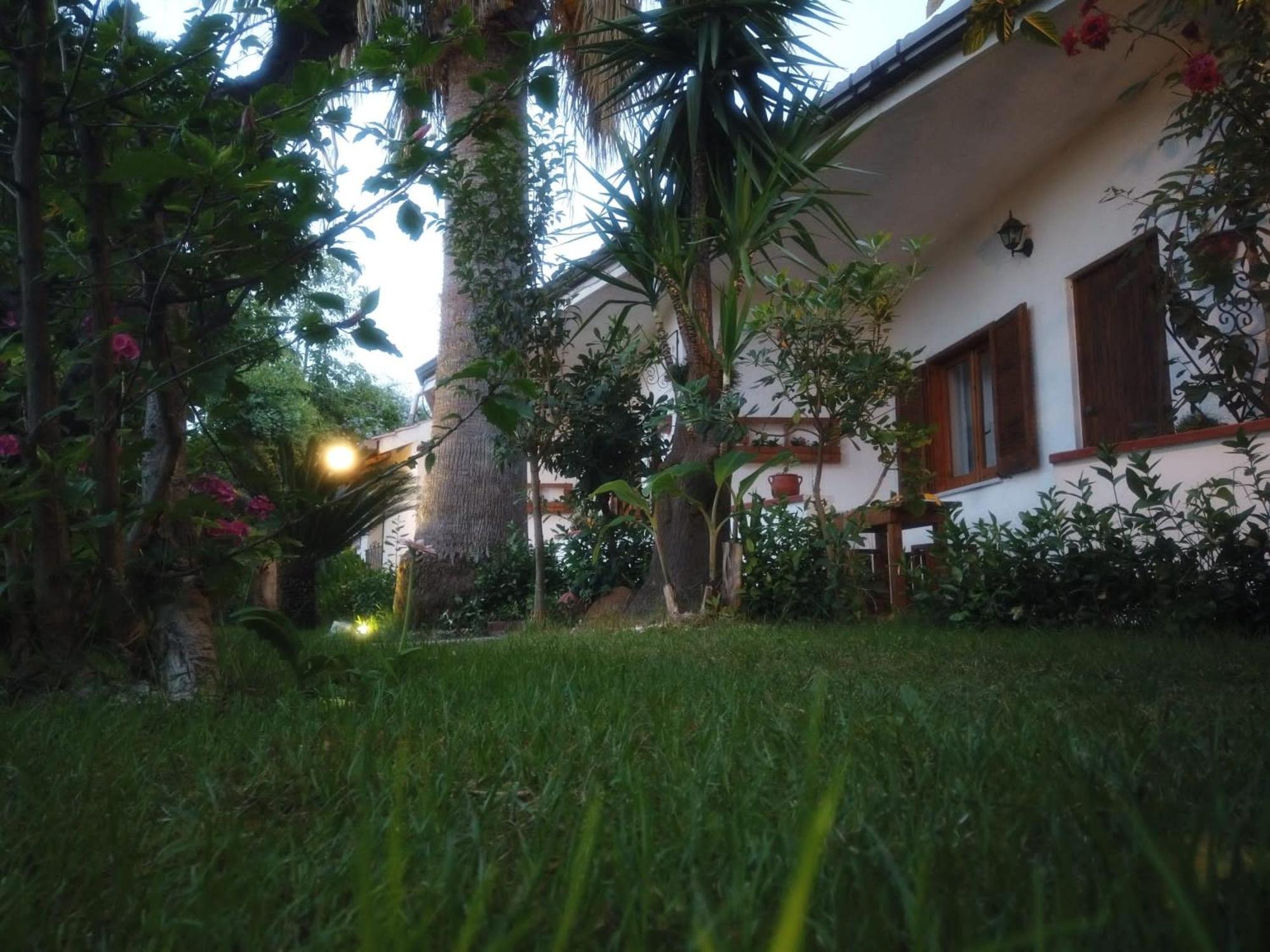 Photo 12