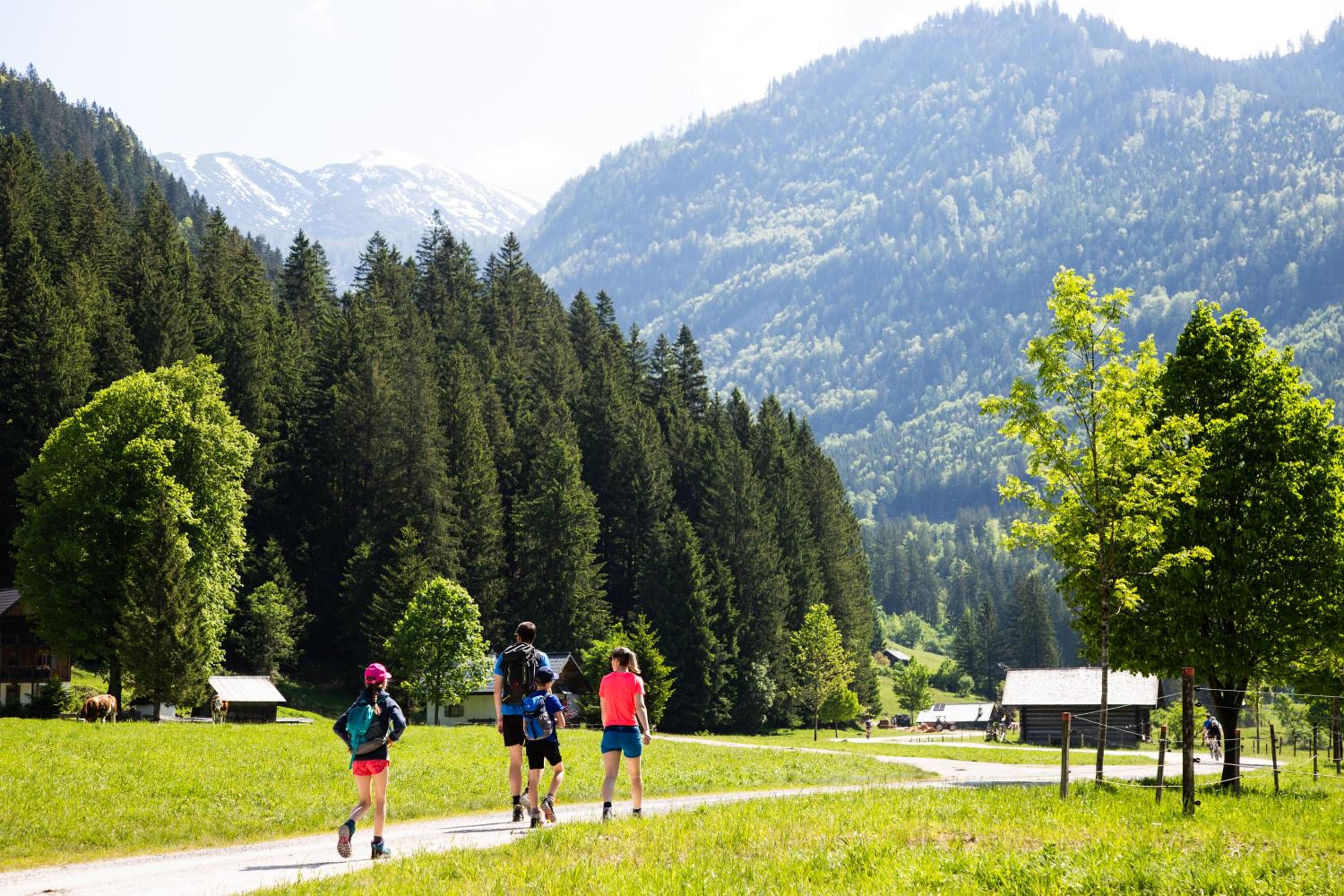 Gasthof Rettenbachalm