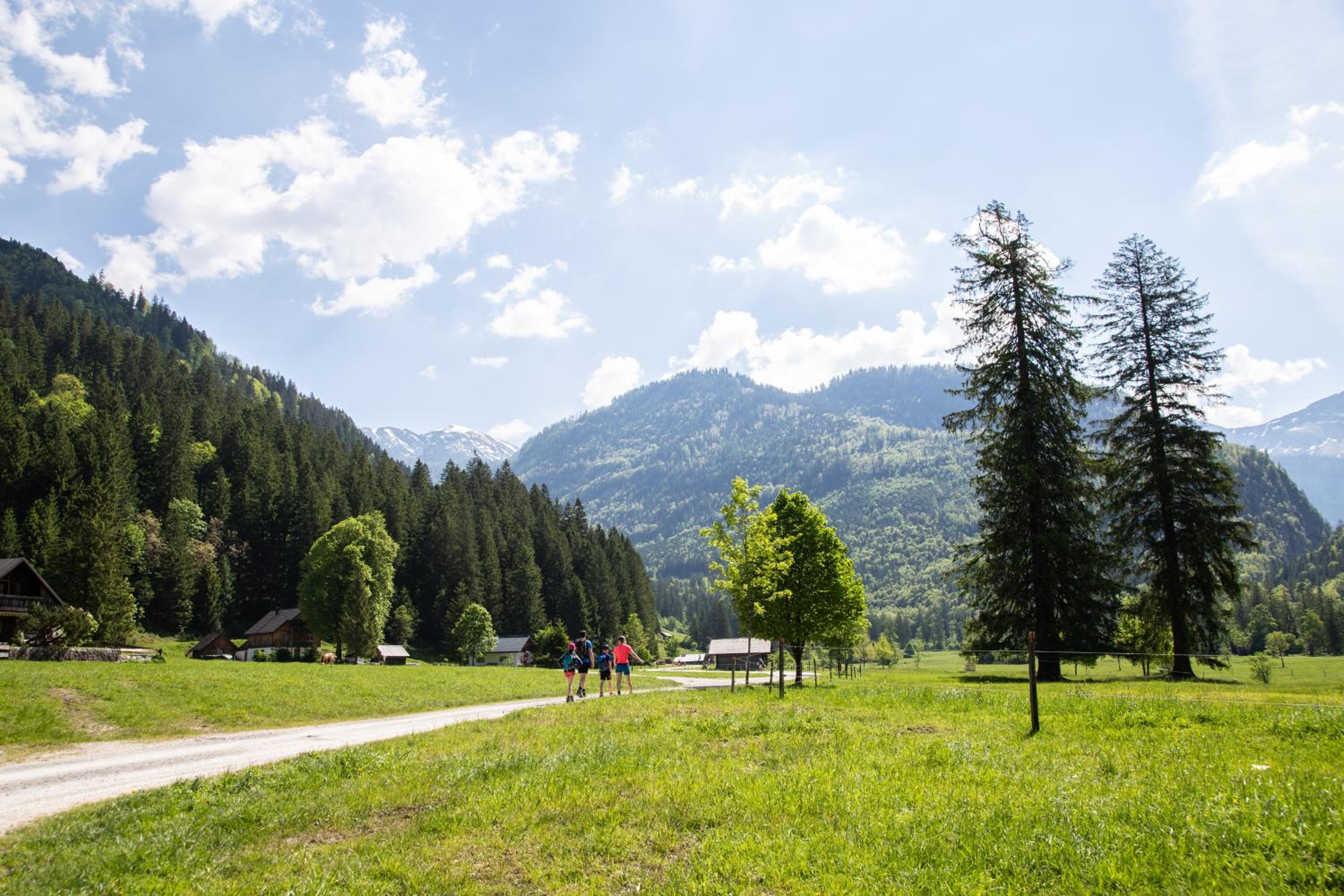 Gasthof Rettenbachalm