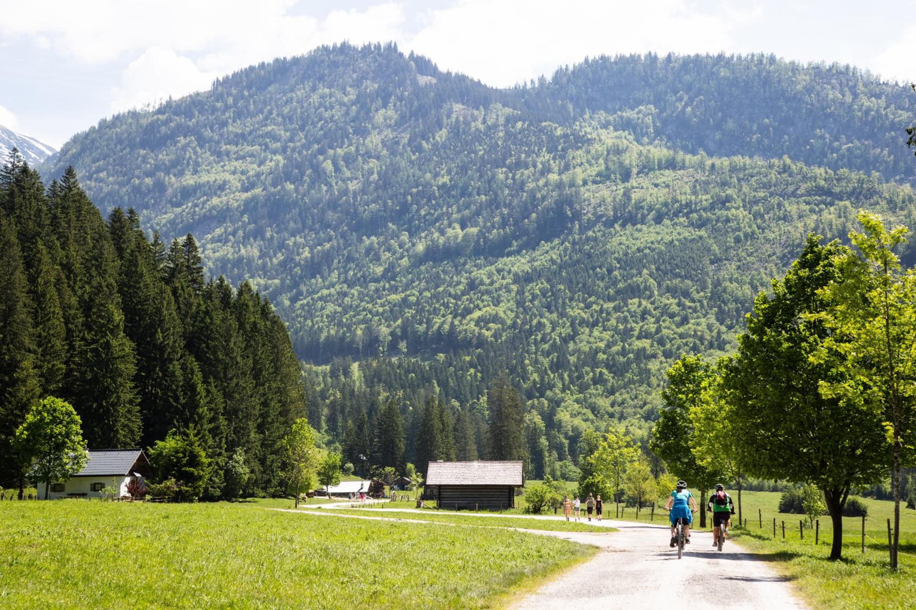 Gasthof Rettenbachalm