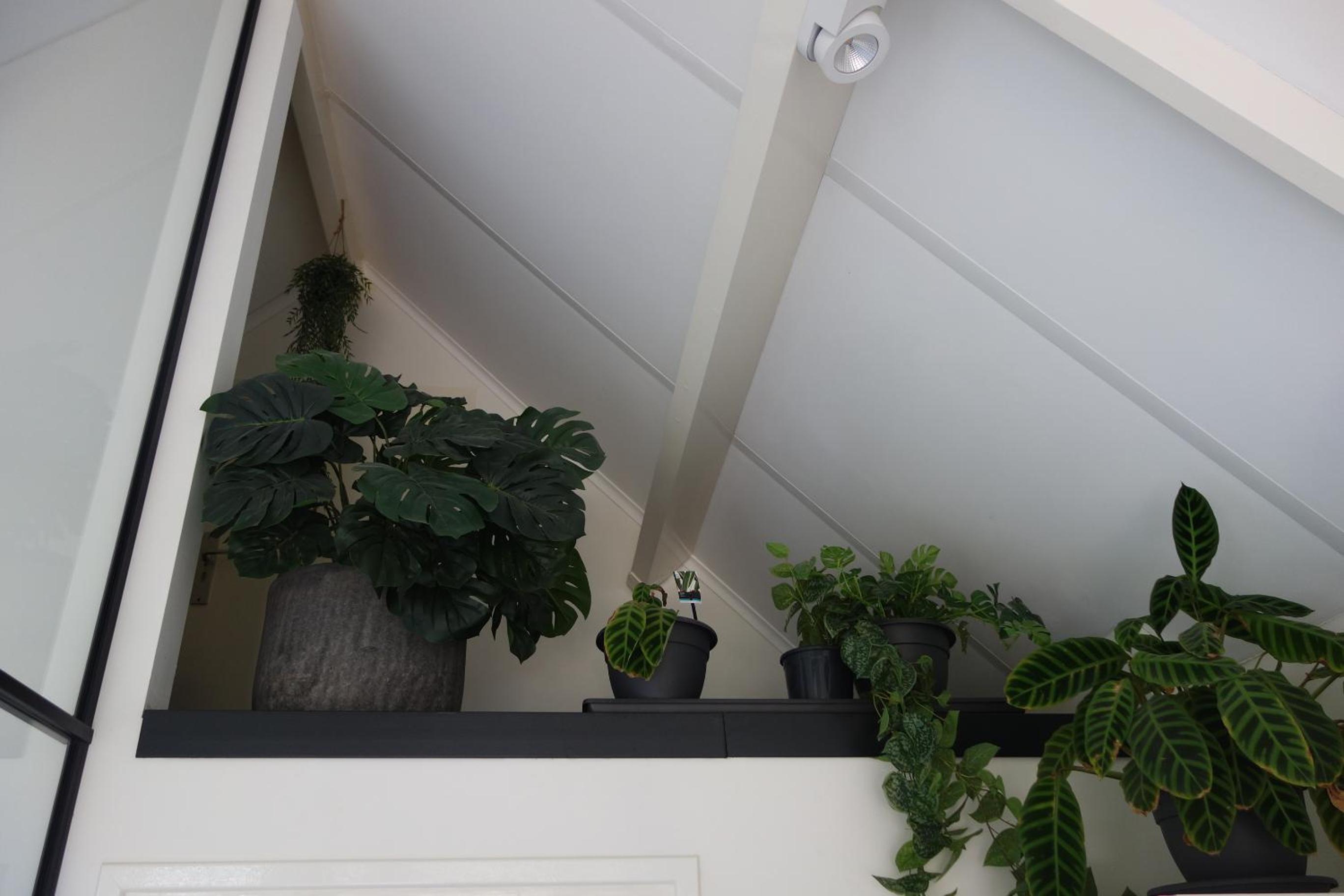 B&B Bij ons achterom Loon op Zand view 5