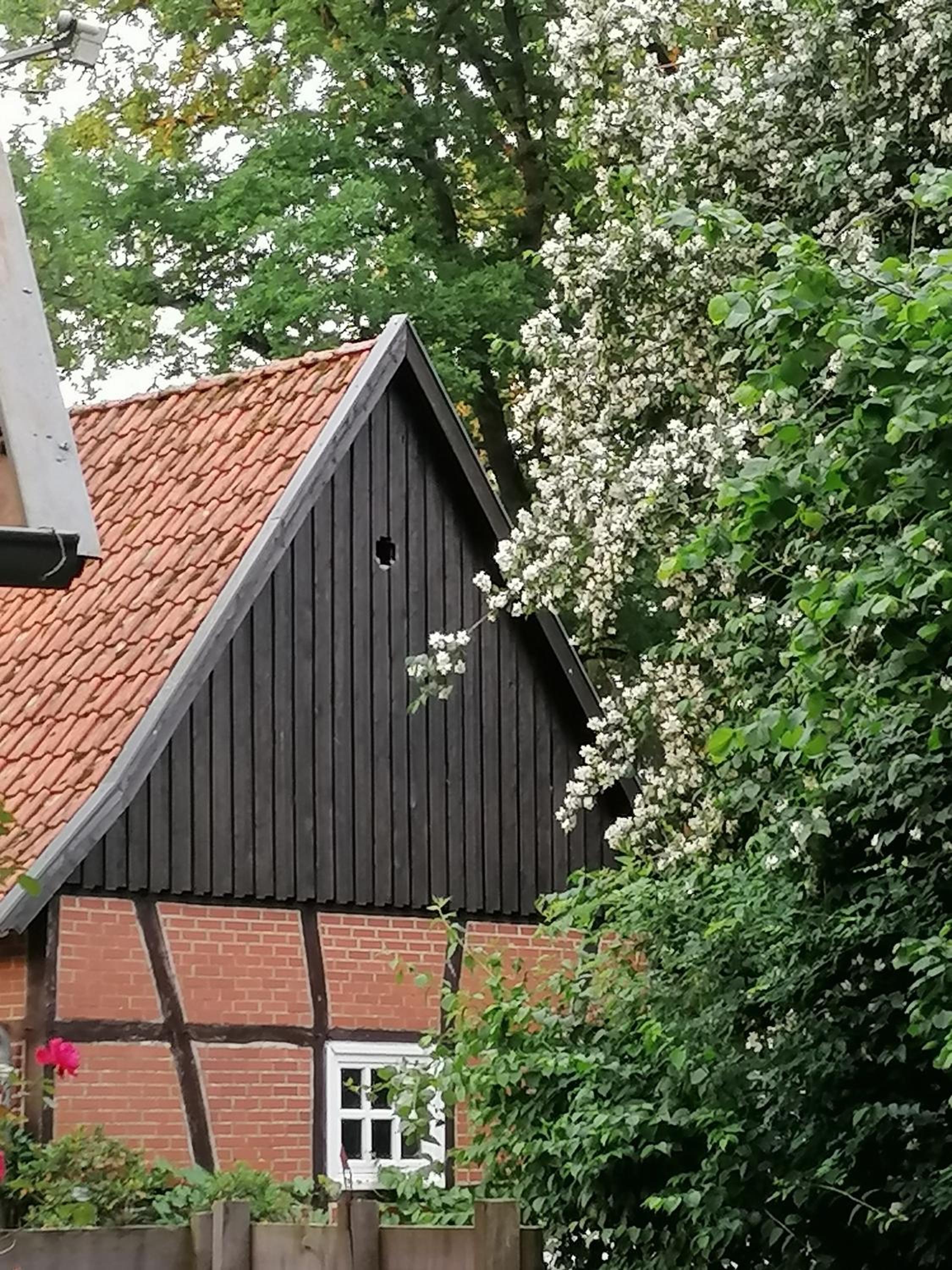 Ferienhaus in Rumke