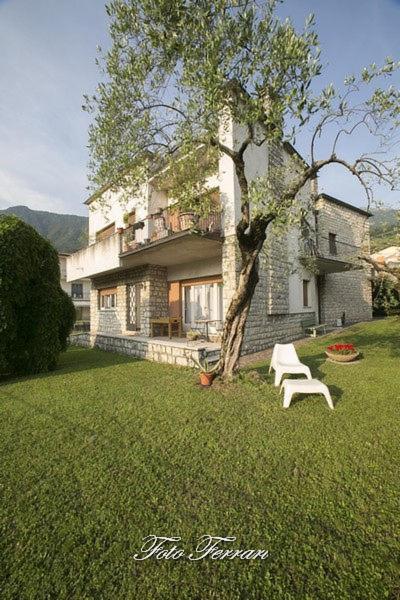 CASA VACANZE GLI ULIVI DEL LAGO photo 2