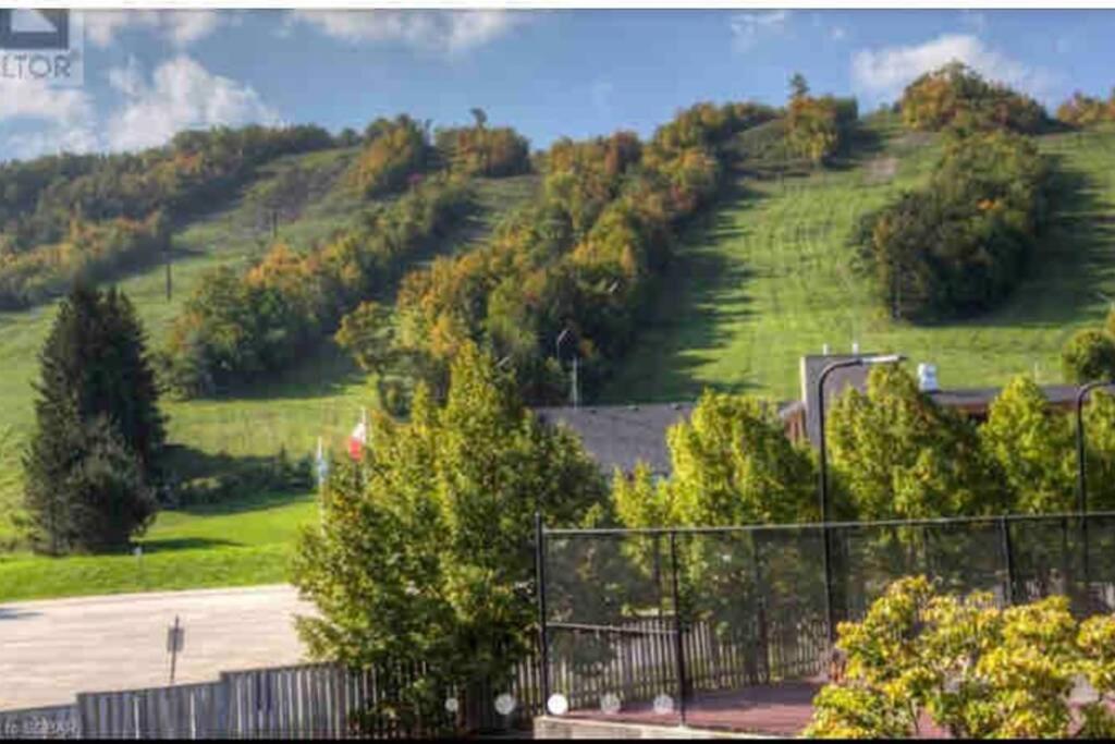 Blue Mountain Studio Oasis