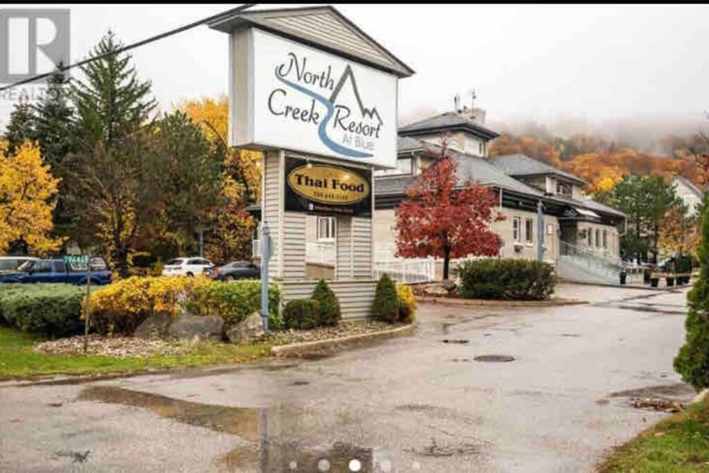 Blue Mountain Studio Oasis