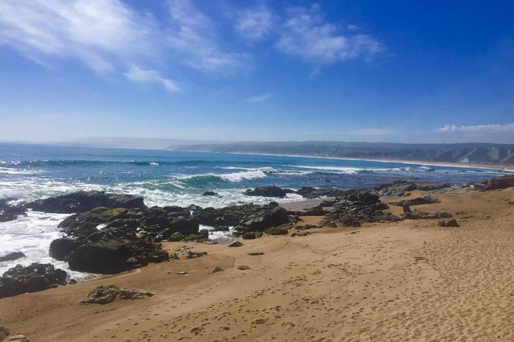 HERMOSO DEPARTAMENTO ALGARROBO NORTE
