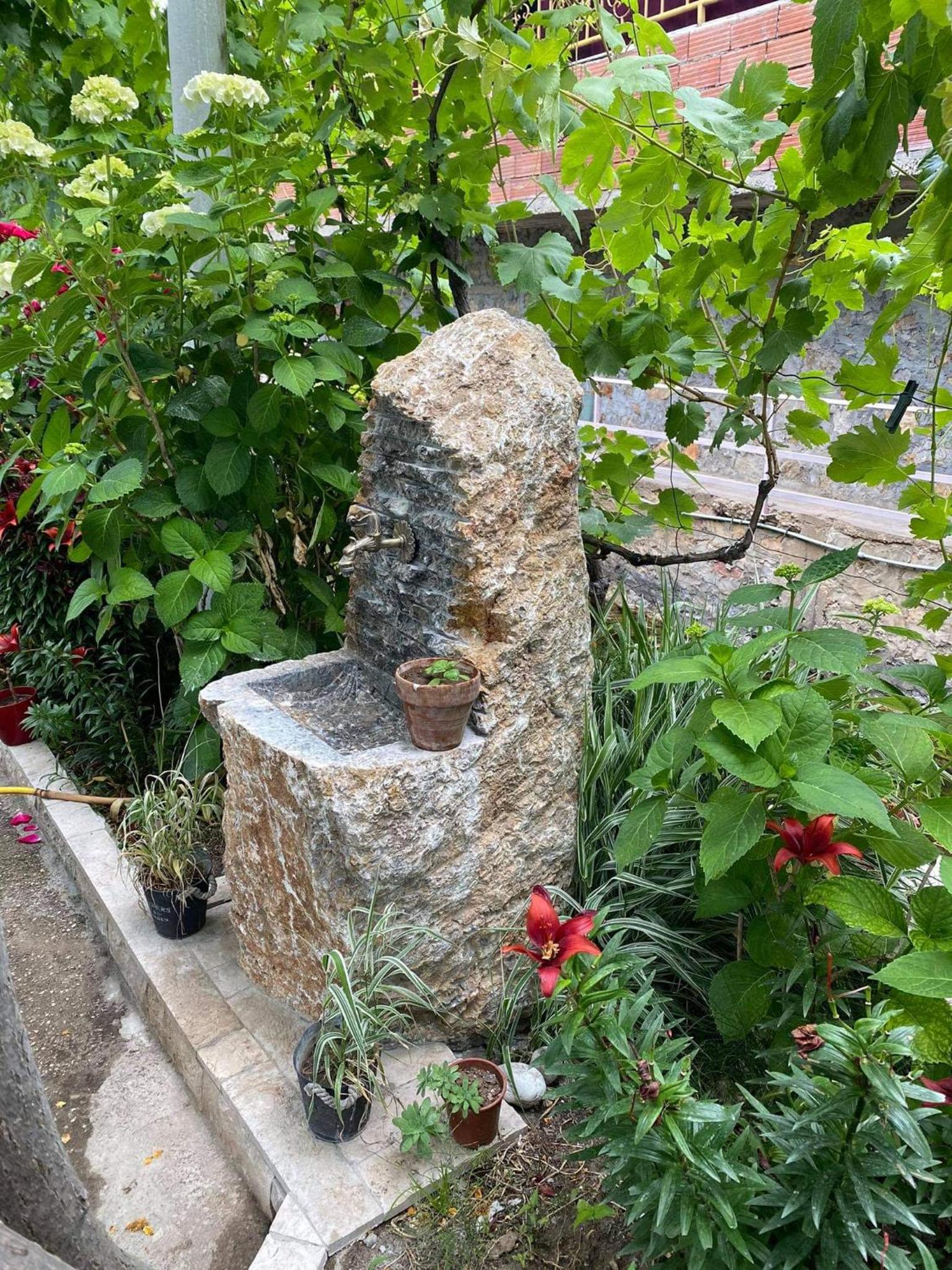 Bujtina Gjyshi Ilo