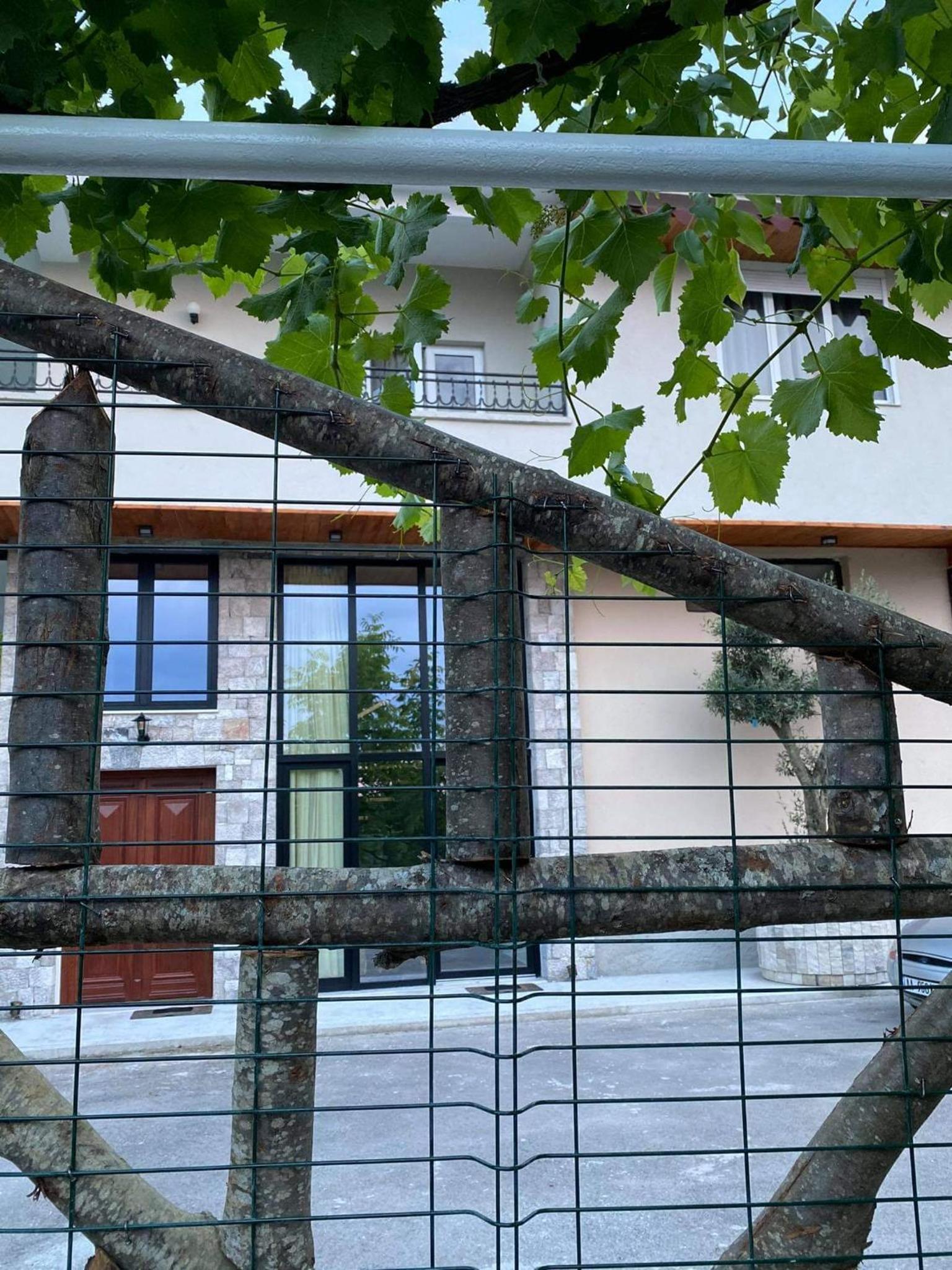 Bujtina Gjyshi Ilo