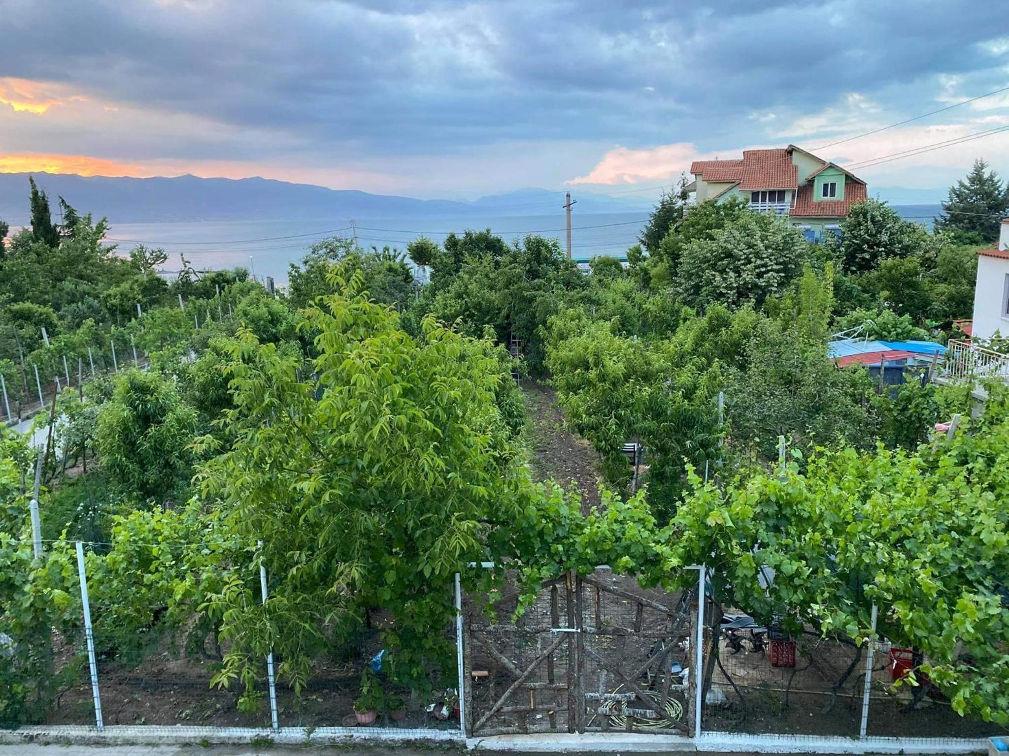 Bujtina Gjyshi Ilo