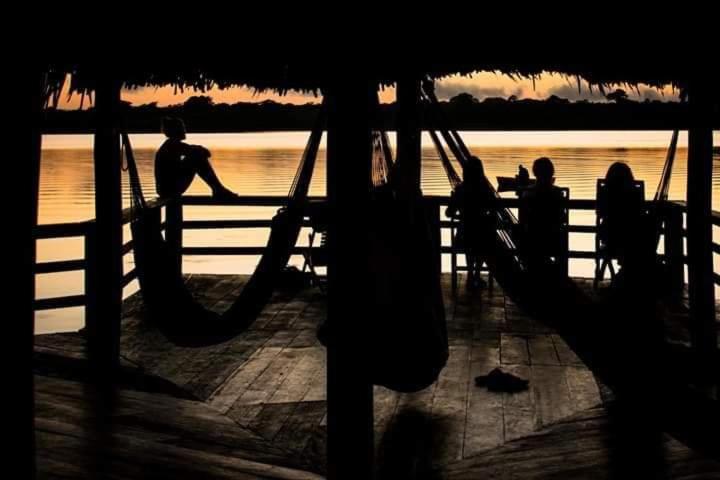 Amazônia Exxperience