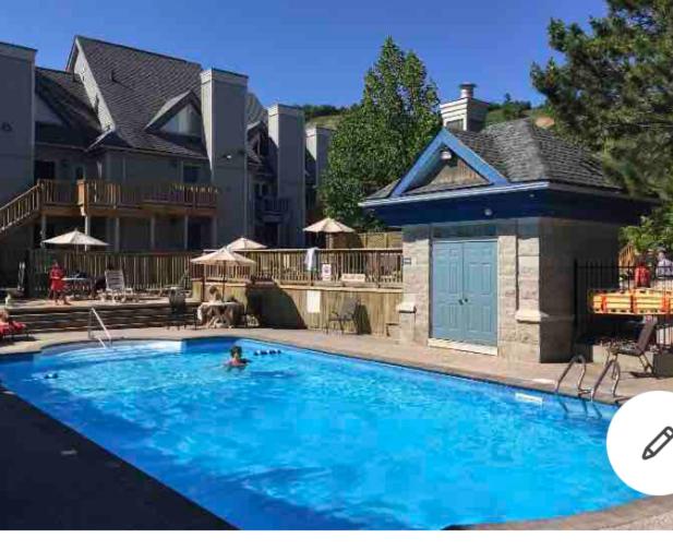 Blue Mountain Studio Oasis