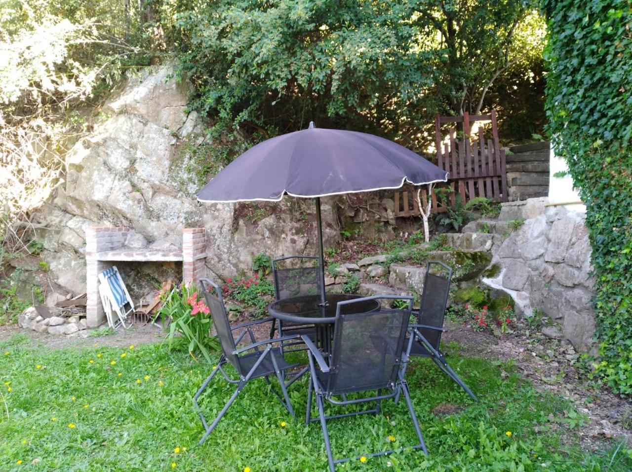 VISTA FRANCA