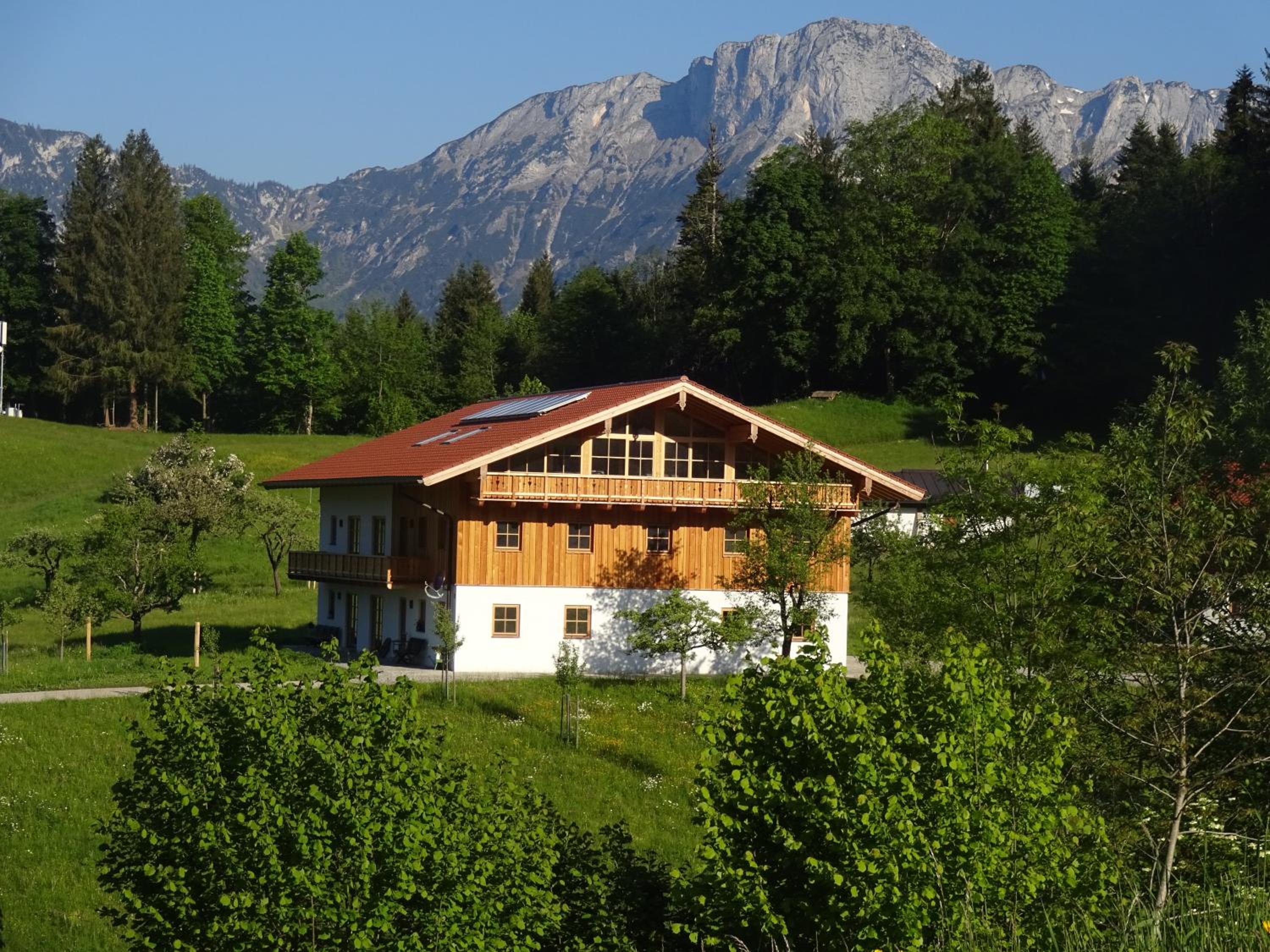Photo 44