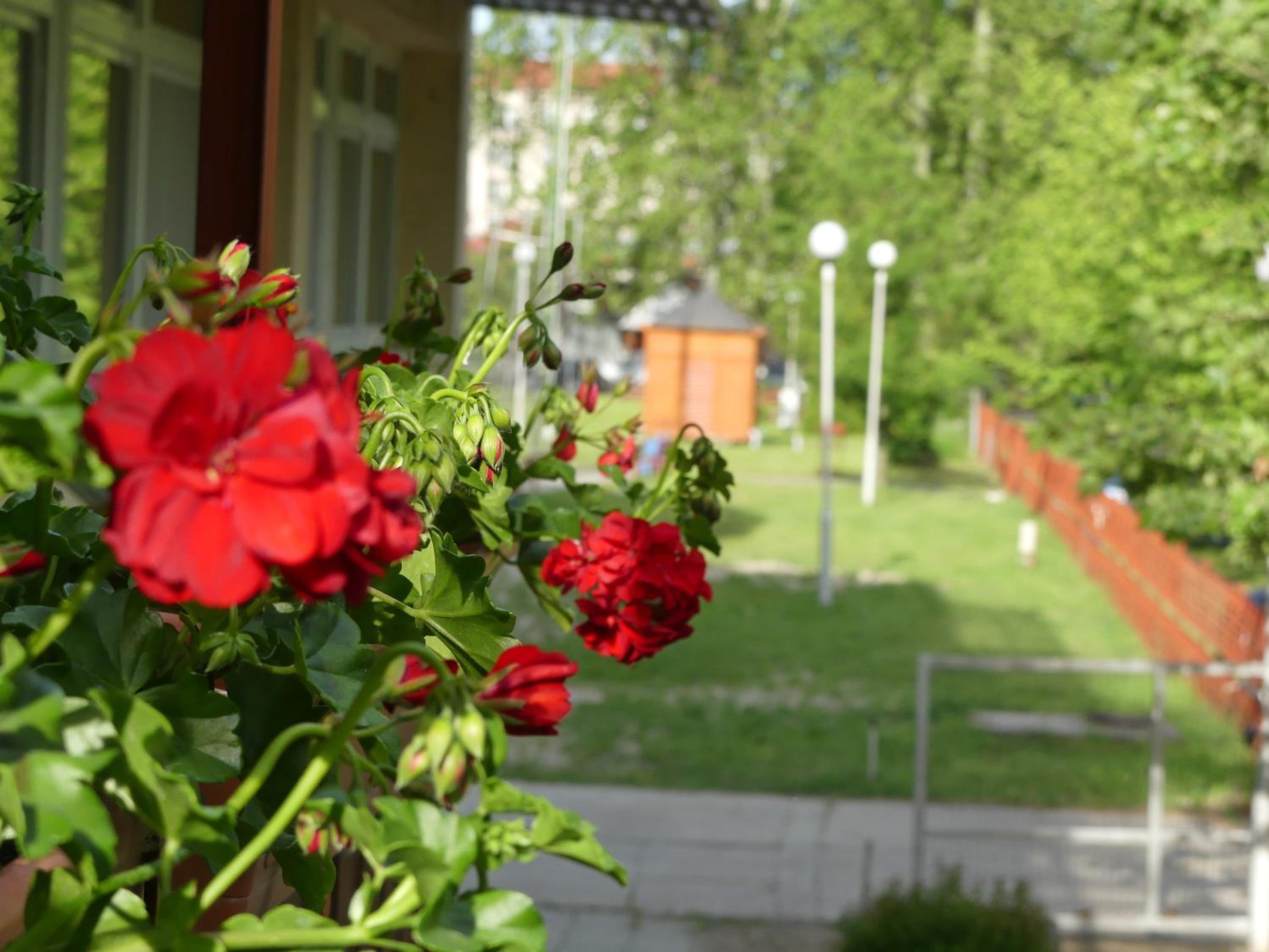 Napsugár Szálló Baja view 3