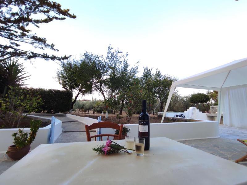 Olive Grove Soulis Family Estate view 5