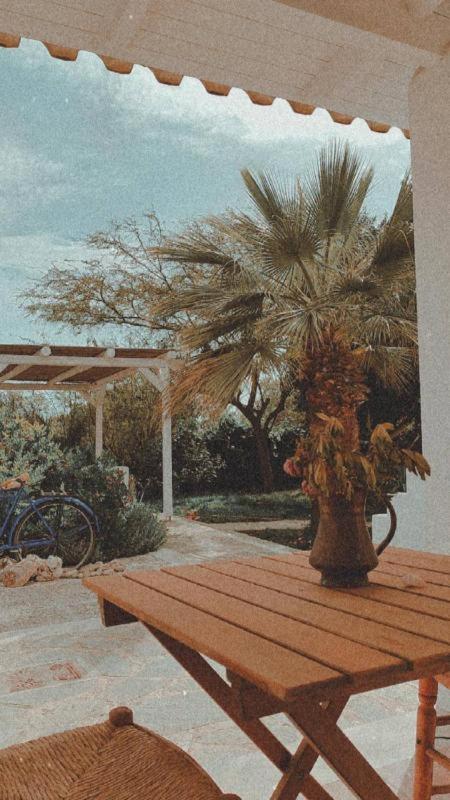 Photo 44